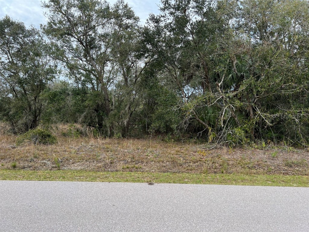 29324 Passionflower Street Punta Gorda FL 33982 - JIM LONG LAKE C7454203 image1
