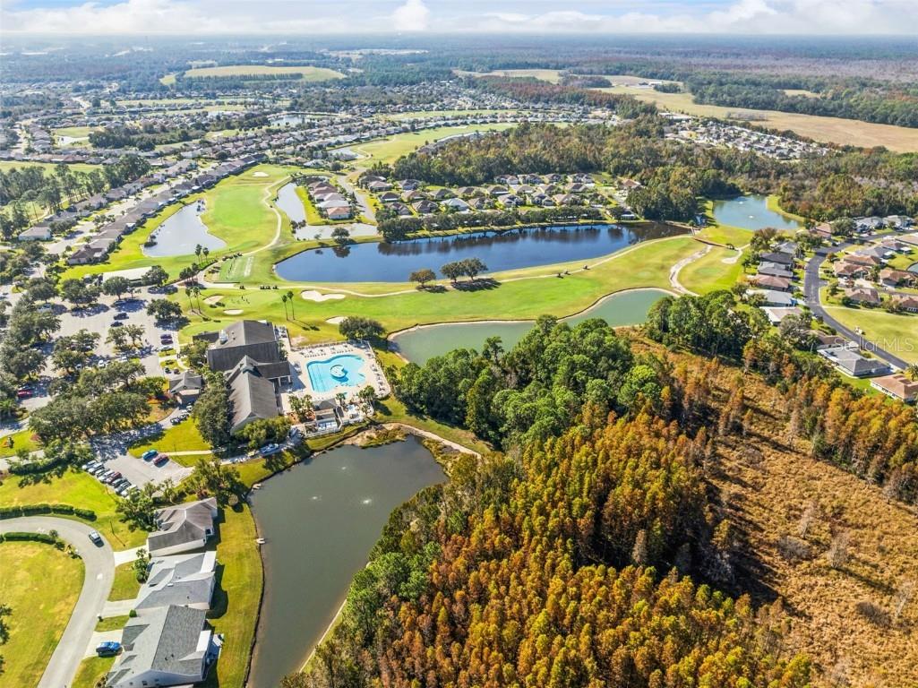 29327 Zeller Avenue San Antonio FL 33576 O6362790 image21