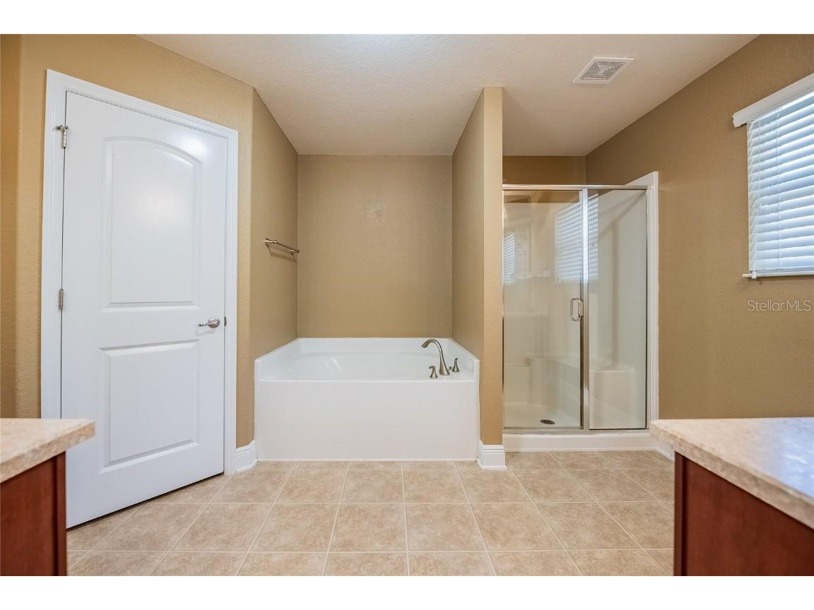 2933 Blackwater Oaks Drive Mulberry FL 33860 L4952507 image26