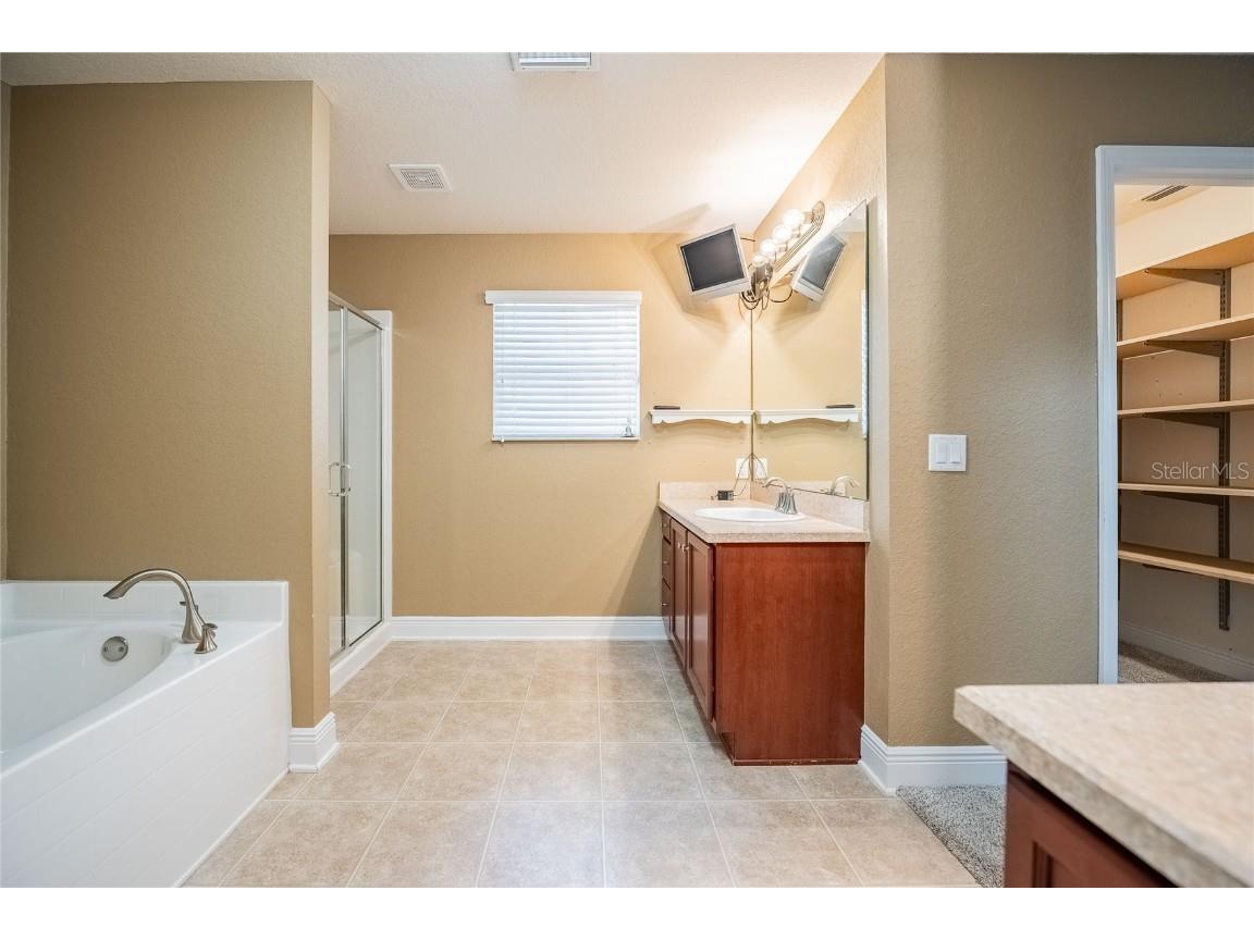 2933 Blackwater Oaks Drive Mulberry FL 33860 L4952507 image28