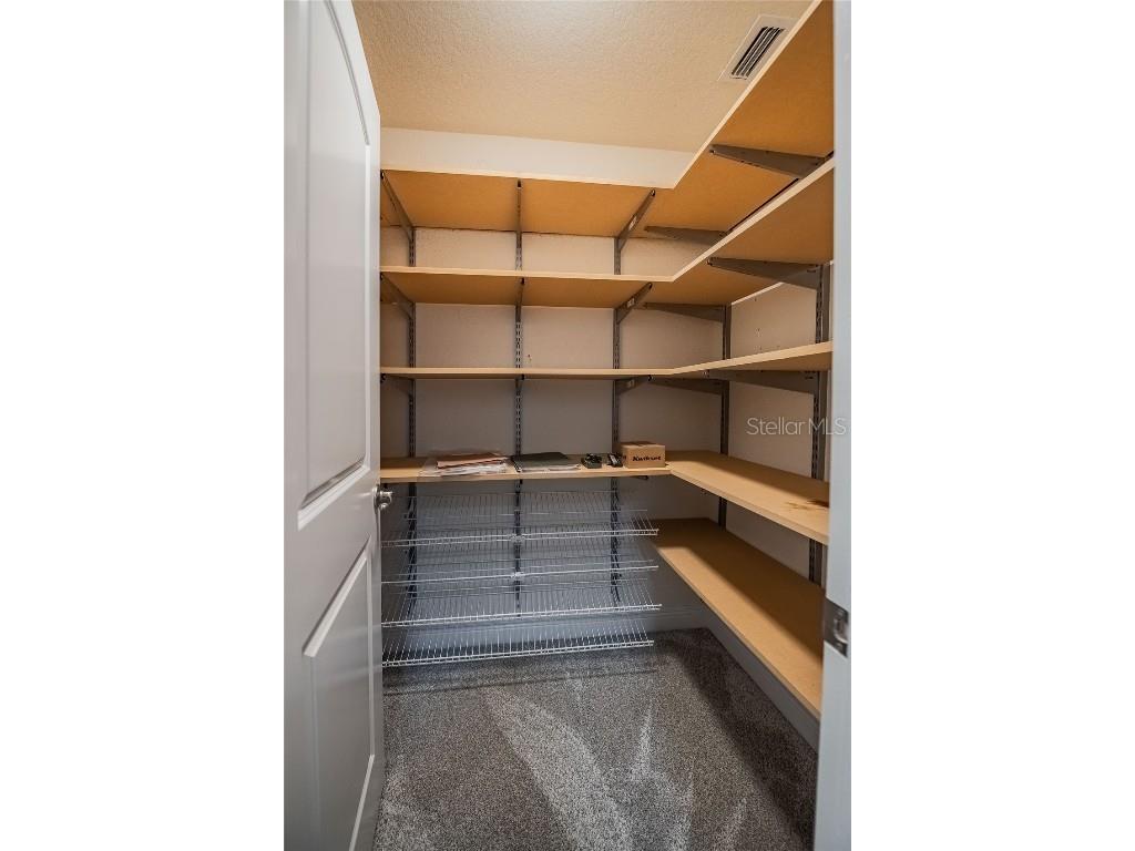 2933 Blackwater Oaks Drive Mulberry FL 33860 L4952507 image29