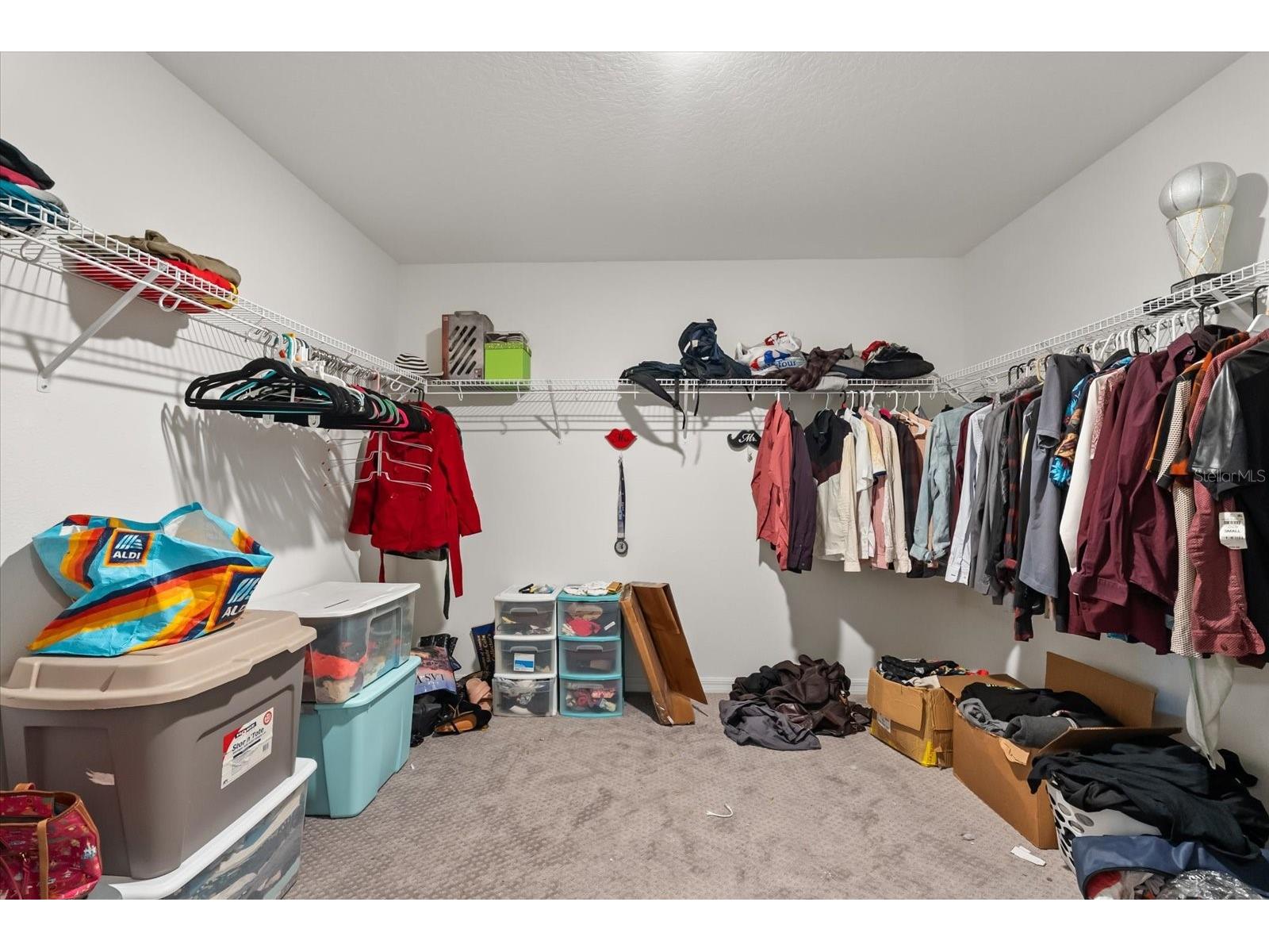 2933 Deerberry Lane Clermont FL 34714 O6345951 image15