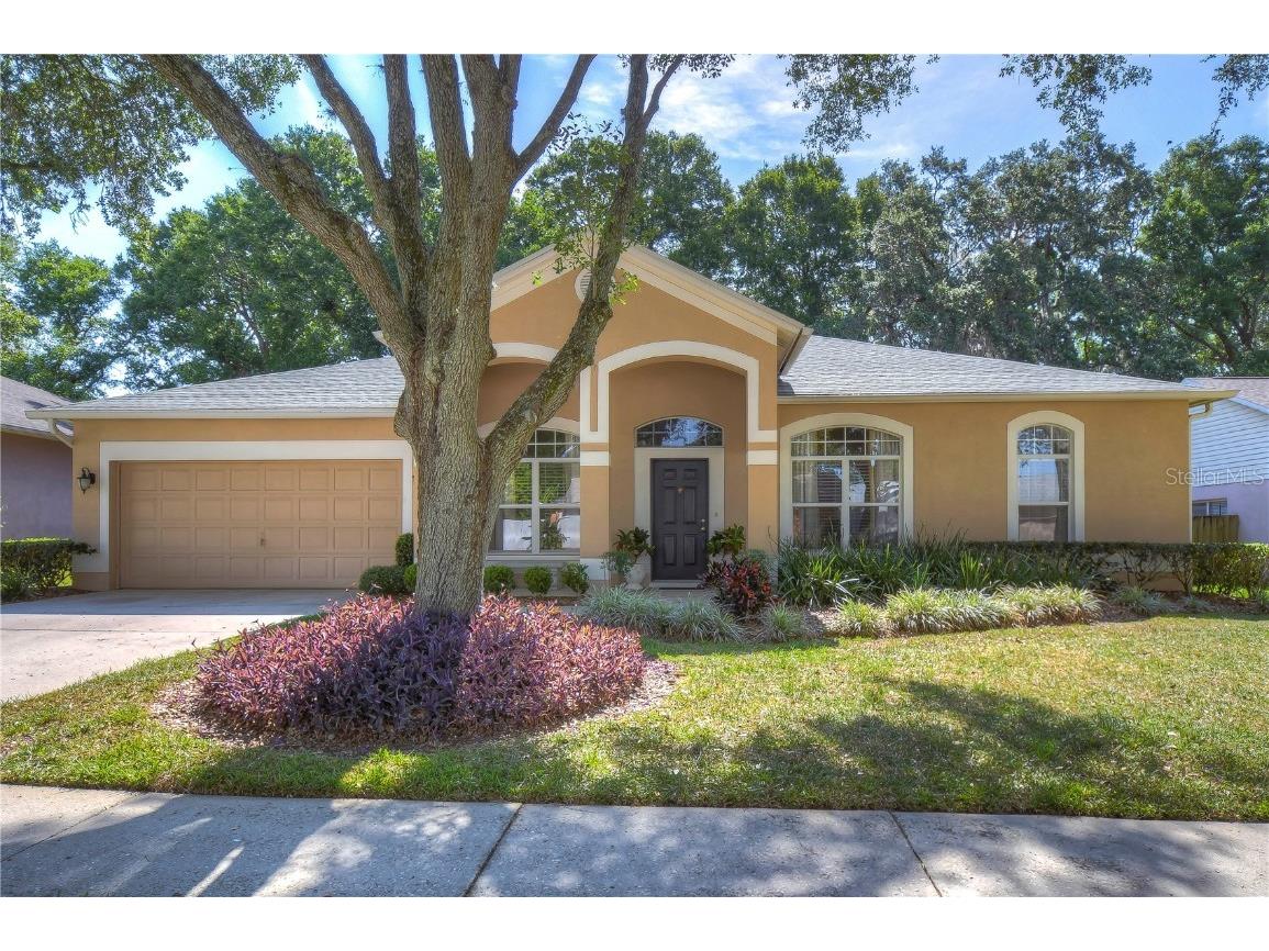 2933 Folklore Drive Valrico FL 33596 T3445329 image1