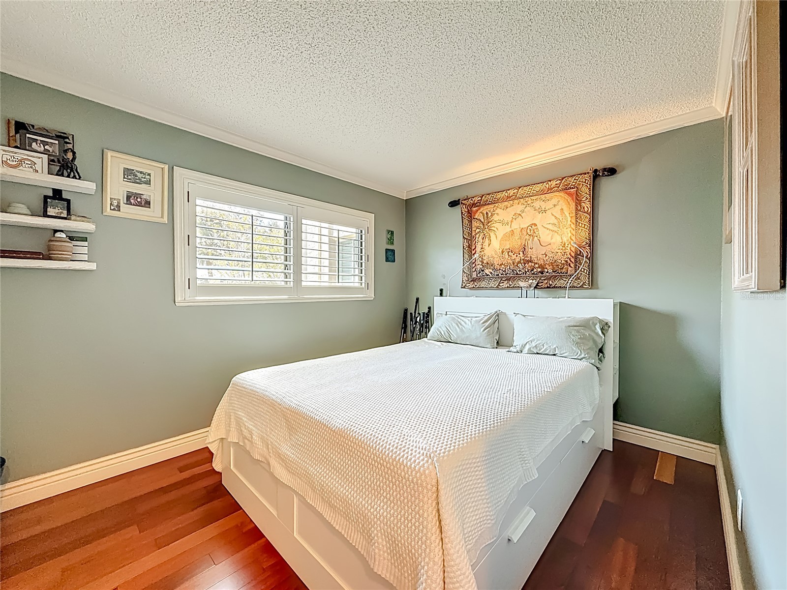 2933 Lichen Lane #A Clearwater FL 33760 TB8438337 image28