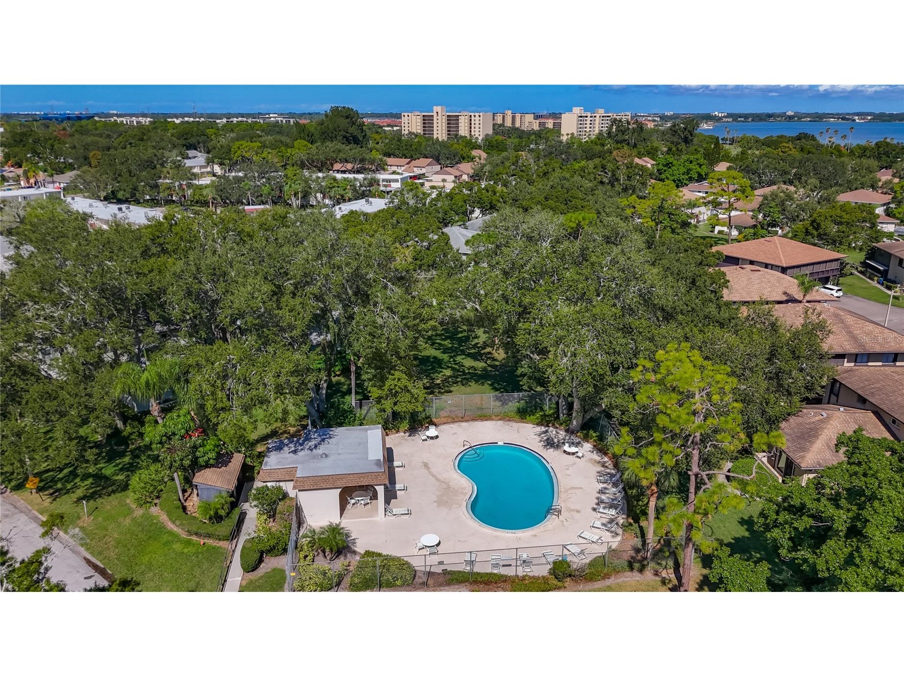 2933 Lichen Lane #A Clearwater FL 33760 TB8438337 image54