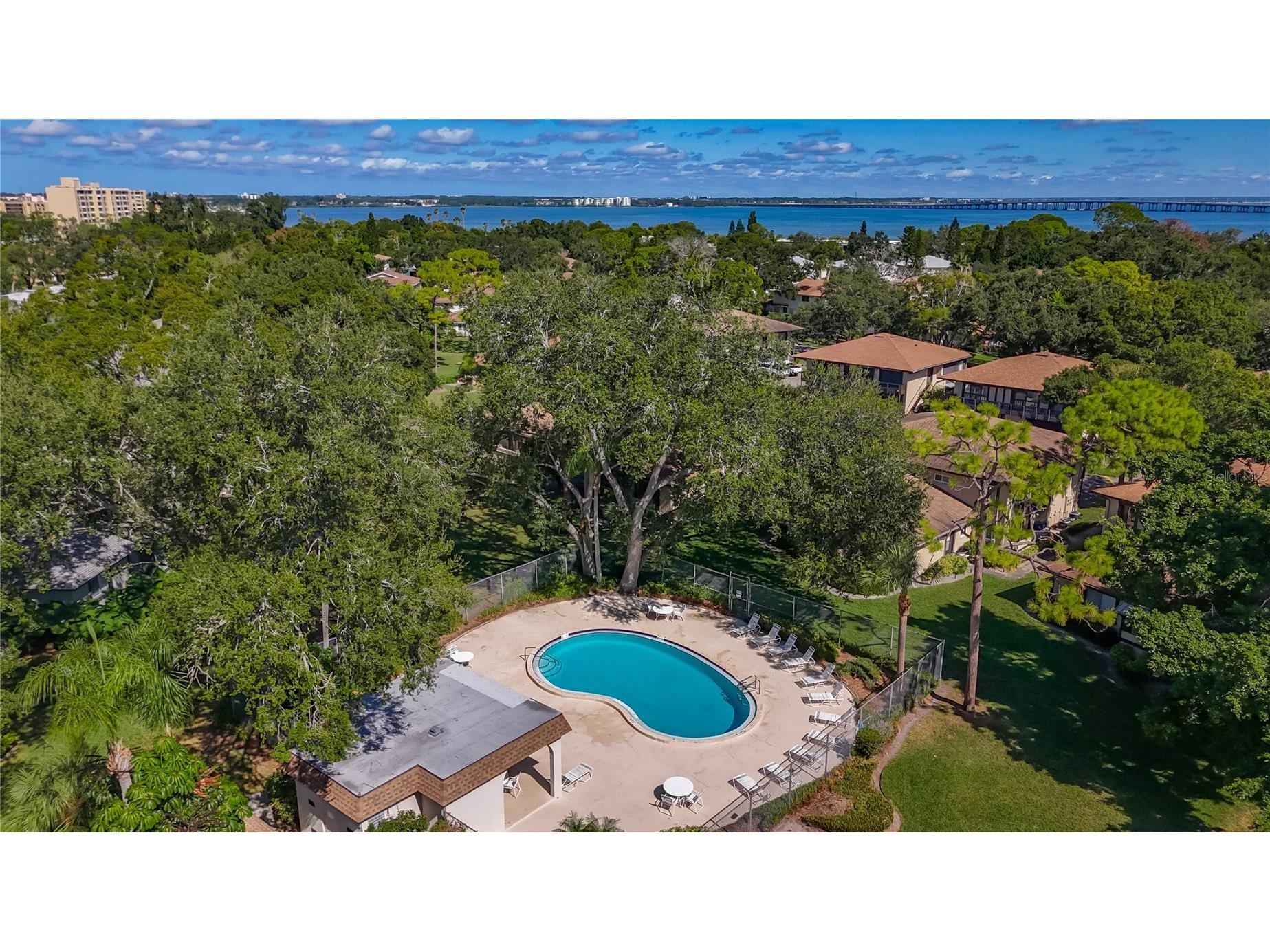 2933 Lichen Lane #A Clearwater FL 33760 TB8438337 image55