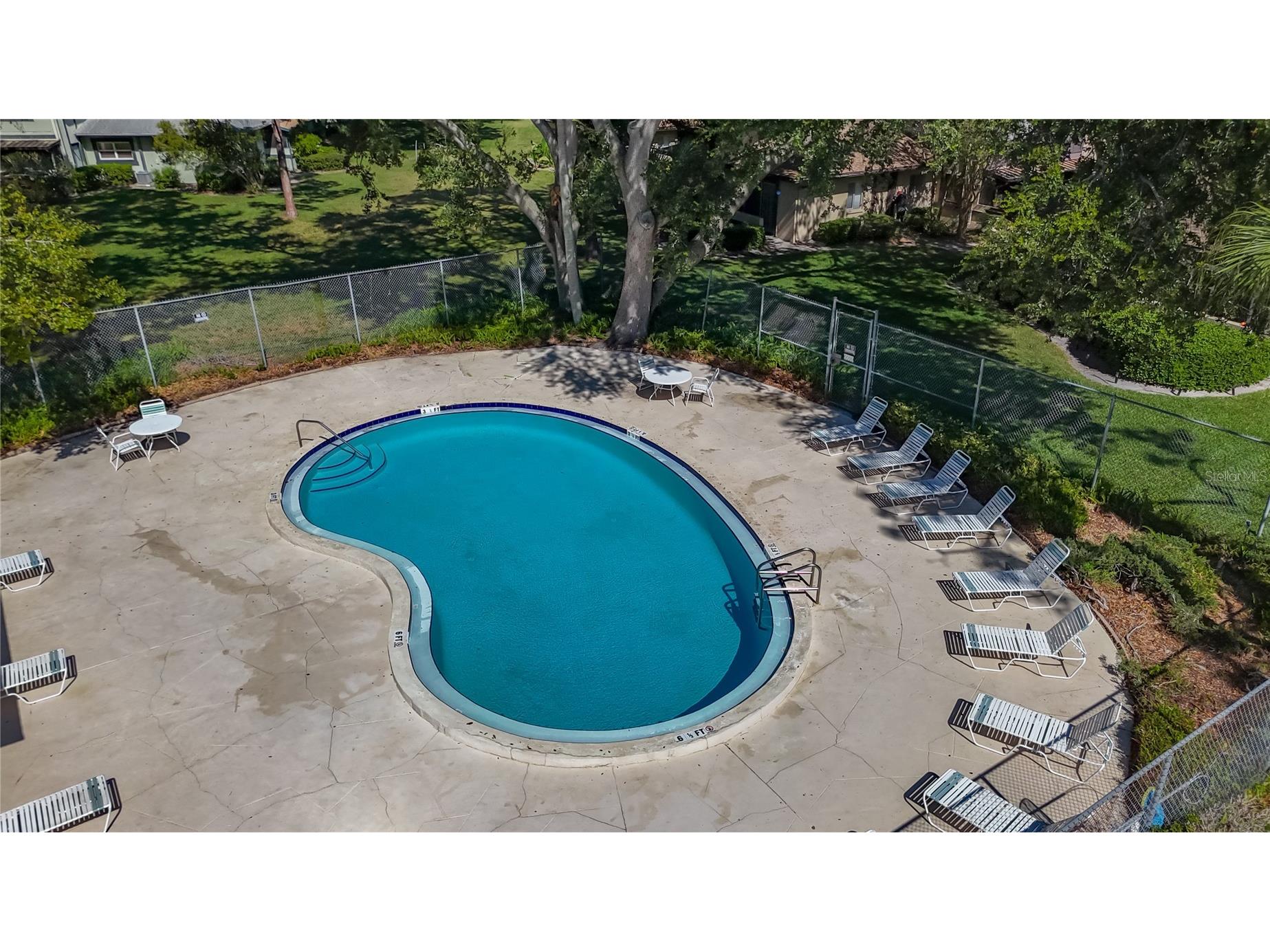 2933 Lichen Lane #A Clearwater FL 33760 TB8438337 image56