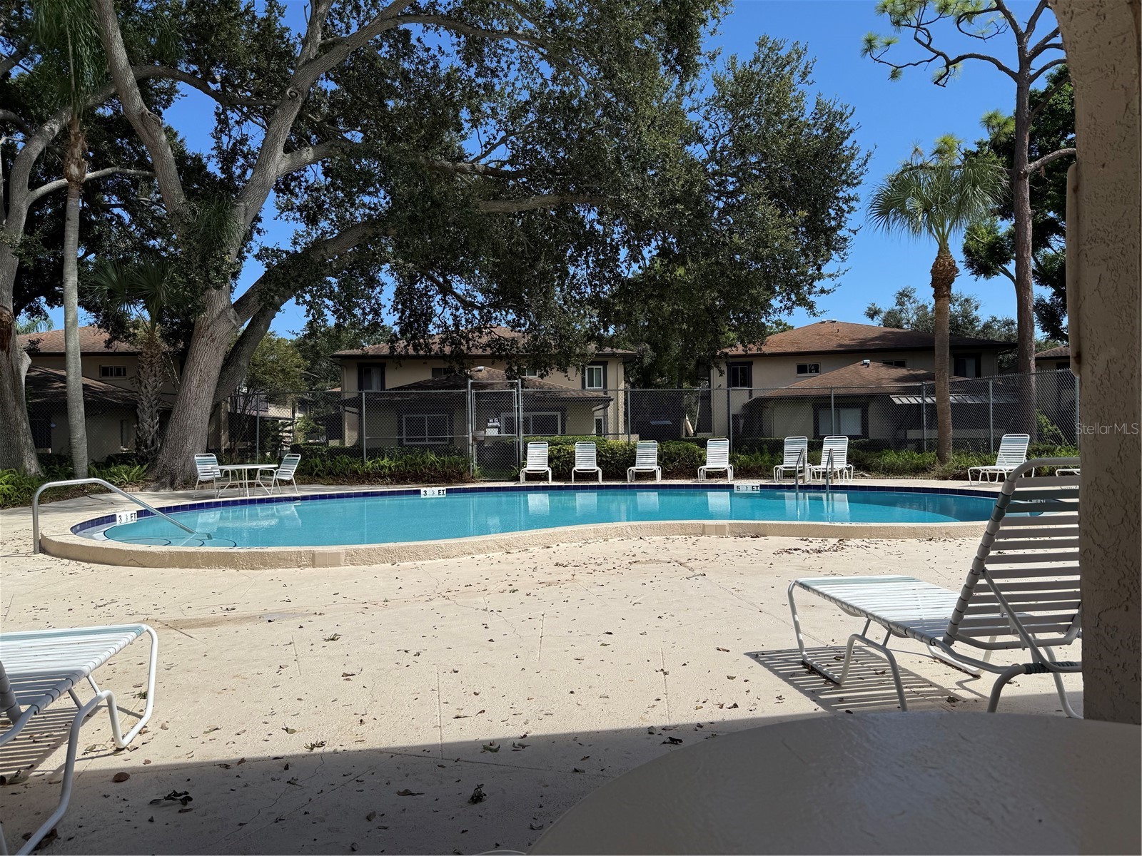 2933 Lichen Lane #A Clearwater FL 33760 TB8438337 image60