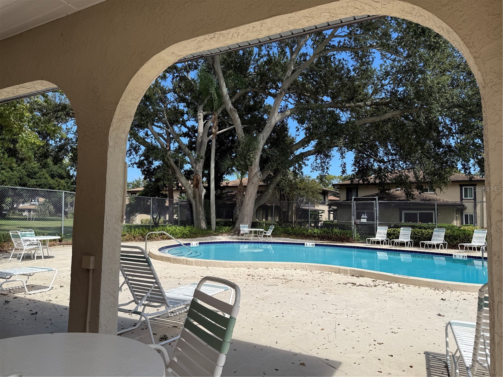 2933 Lichen Lane #A Clearwater FL 33760 TB8438337 image61