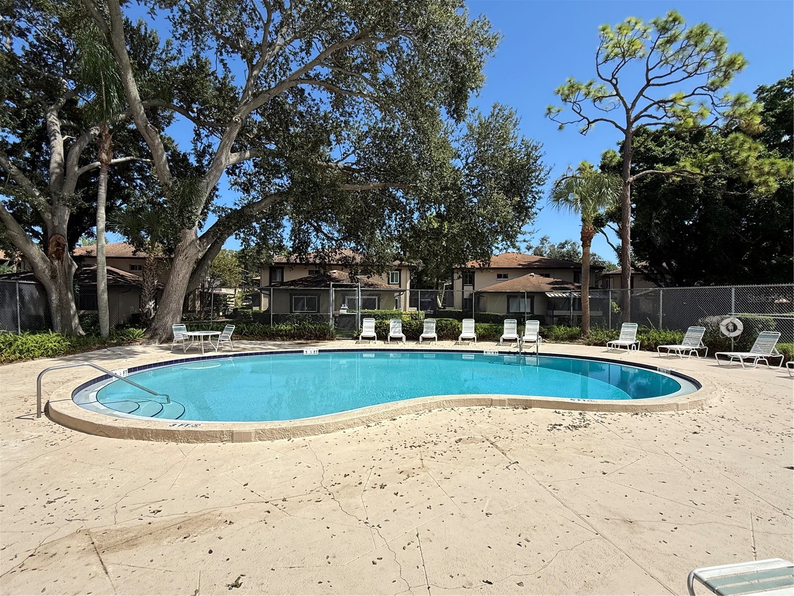 2933 Lichen Lane #A Clearwater FL 33760 TB8438337 image62