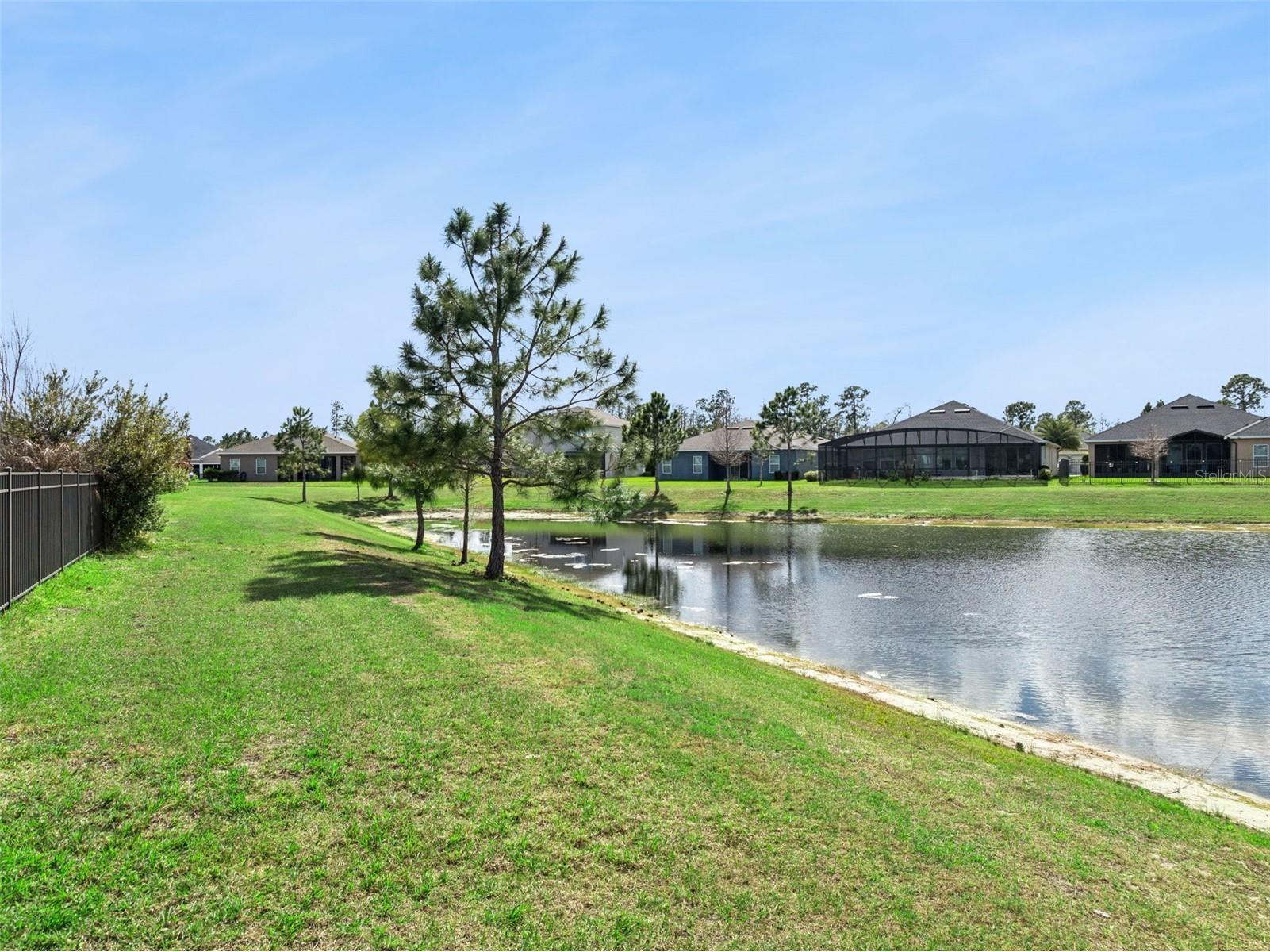 2933 Marlberry Lane Clermont FL 34714 O6389801 image44