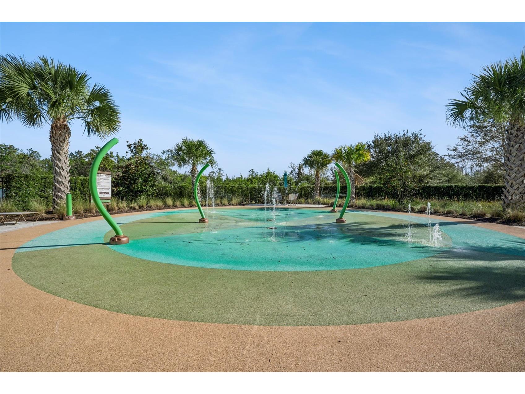 2933 Marlberry Lane Clermont FL 34714 O6389801 image70