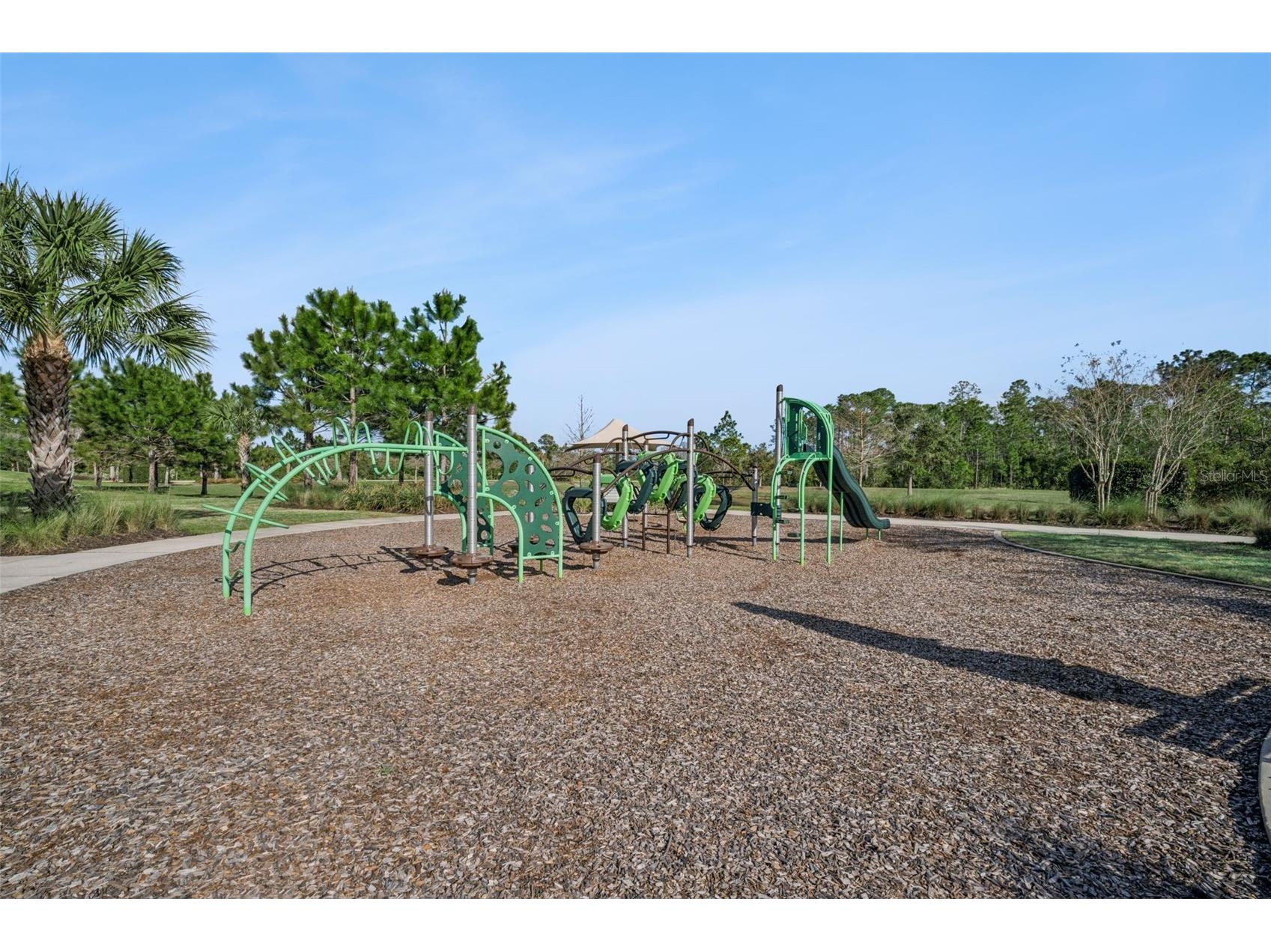 2933 Marlberry Lane Clermont FL 34714 O6389801 image72