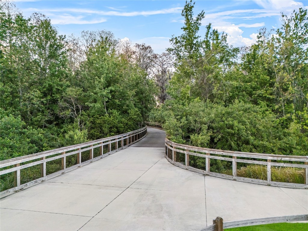 2933 White Cedar Circle Kissimmee FL 34741 O6286412 image39