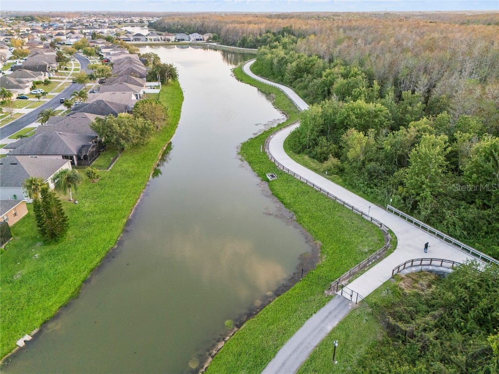 2933 White Cedar Circle Kissimmee FL 34741 O6286412 image41