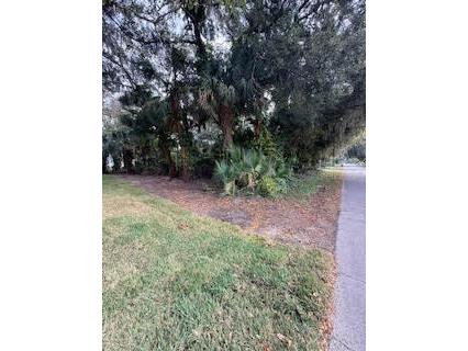 2933 Woodland Drive Edgewater FL 32141 NS1086667 image2
