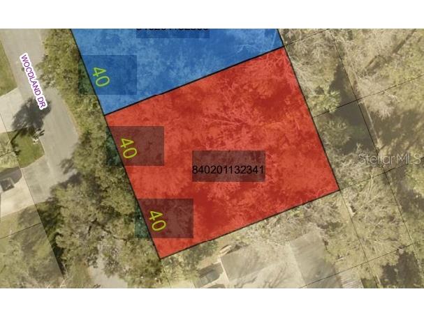 2933 Woodland Drive Edgewater FL 32141 NS1086667 image3