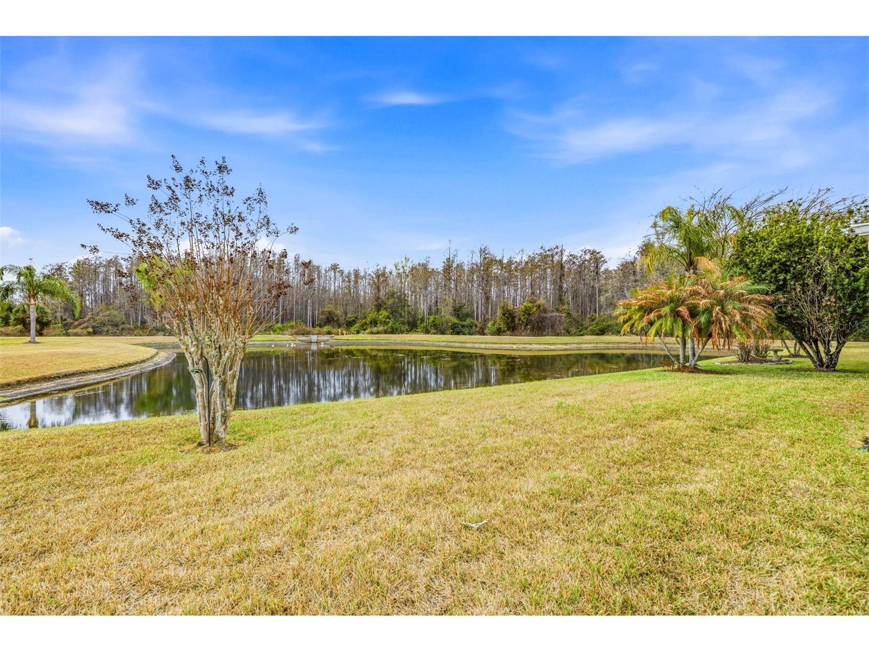 29338 Marker Loop San Antonio FL 33576 TB8480970 image25