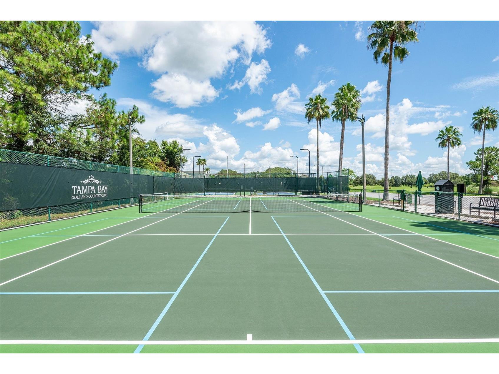 29338 Marker Loop San Antonio FL 33576 TB8480970 image54