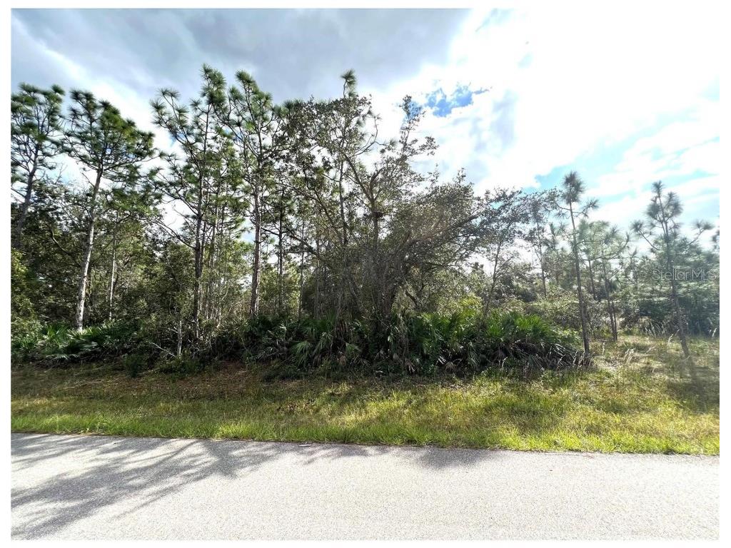 29339 Ixora Road Punta Gorda FL 33982 A4571227 image1