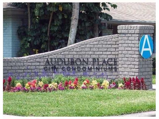 2934 Plaza Terrace Drive #2934 Orlando FL 32803 O6405437 image1