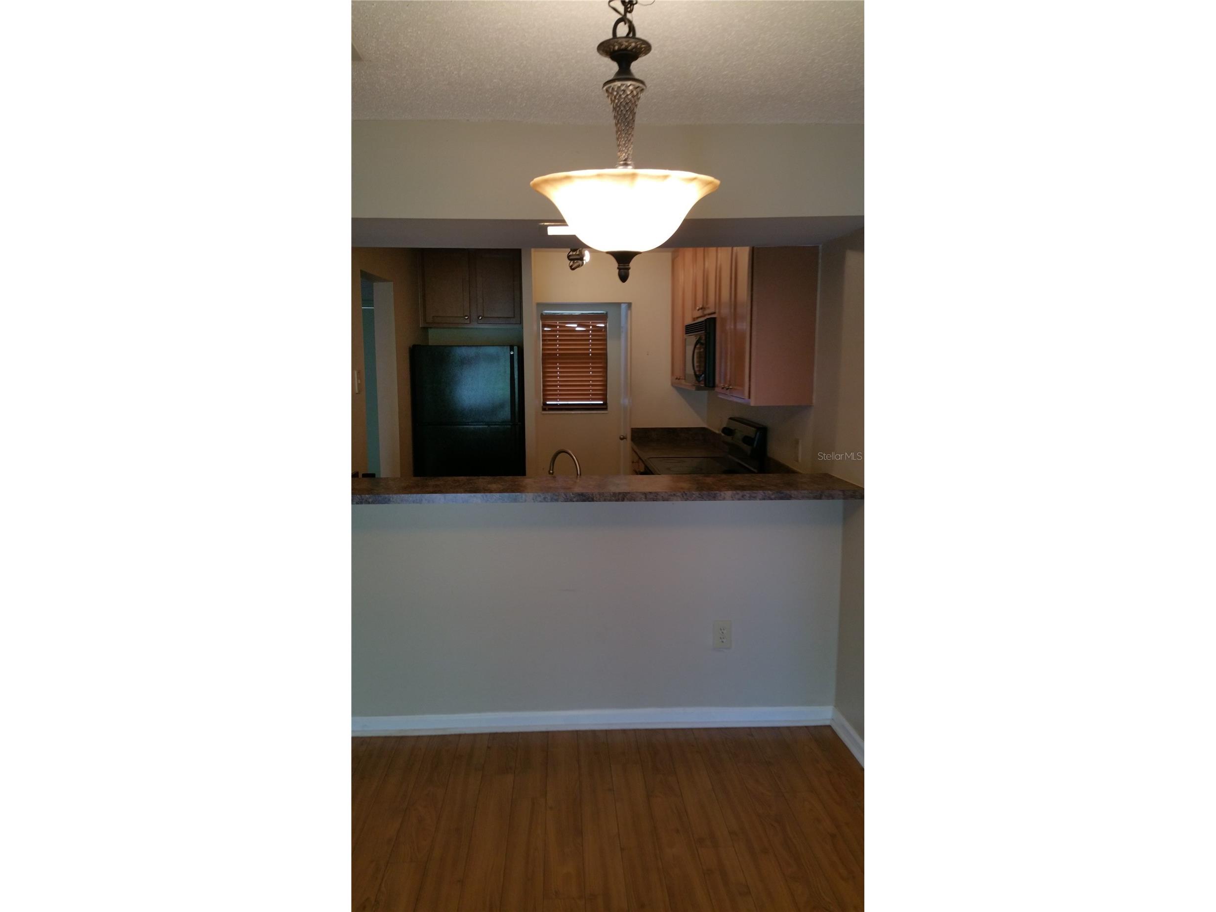2934 Plaza Terrace Drive #2934 Orlando FL 32803 O6405437 image2