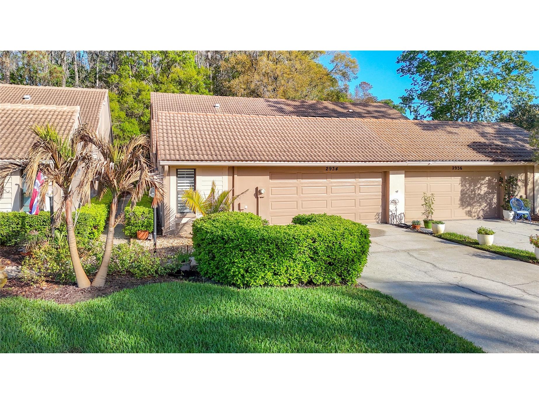 2934 Windmoor Drive S Palm Harbor FL 34685 TB8485758 image2