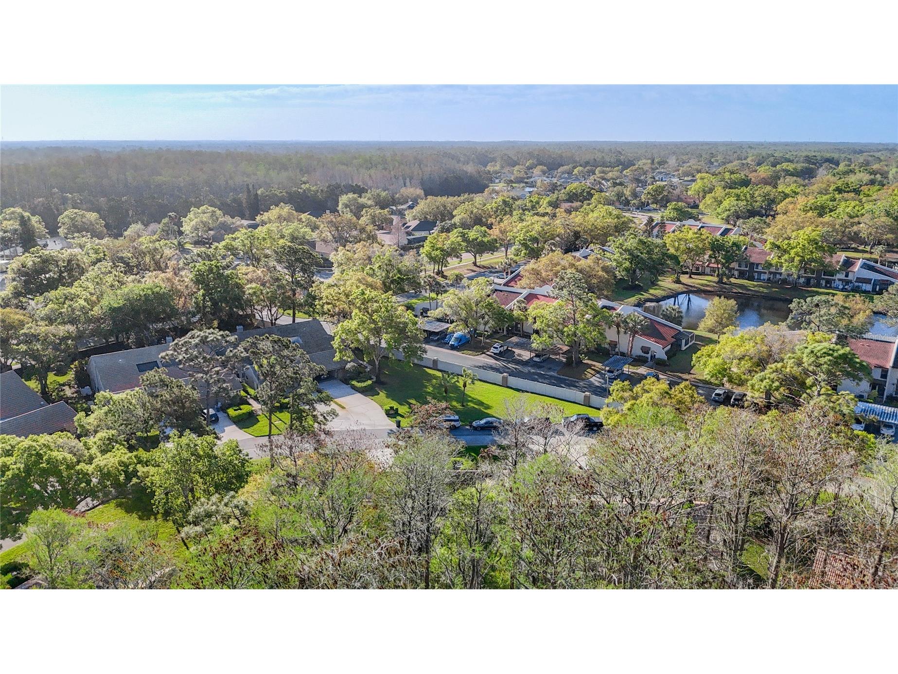2934 Windmoor Drive S Palm Harbor FL 34685 TB8485758 image3