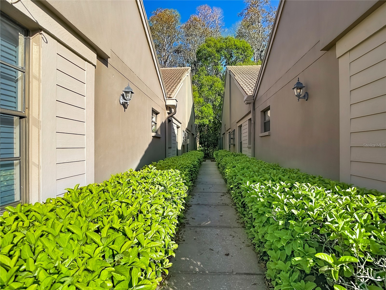 2934 Windmoor Drive S Palm Harbor FL 34685 TB8485758 image4