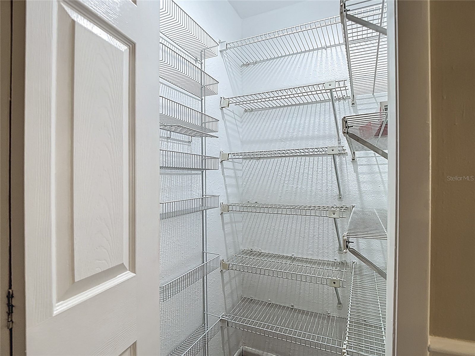 2934 Windmoor Drive S Palm Harbor FL 34685 TB8485758 image46