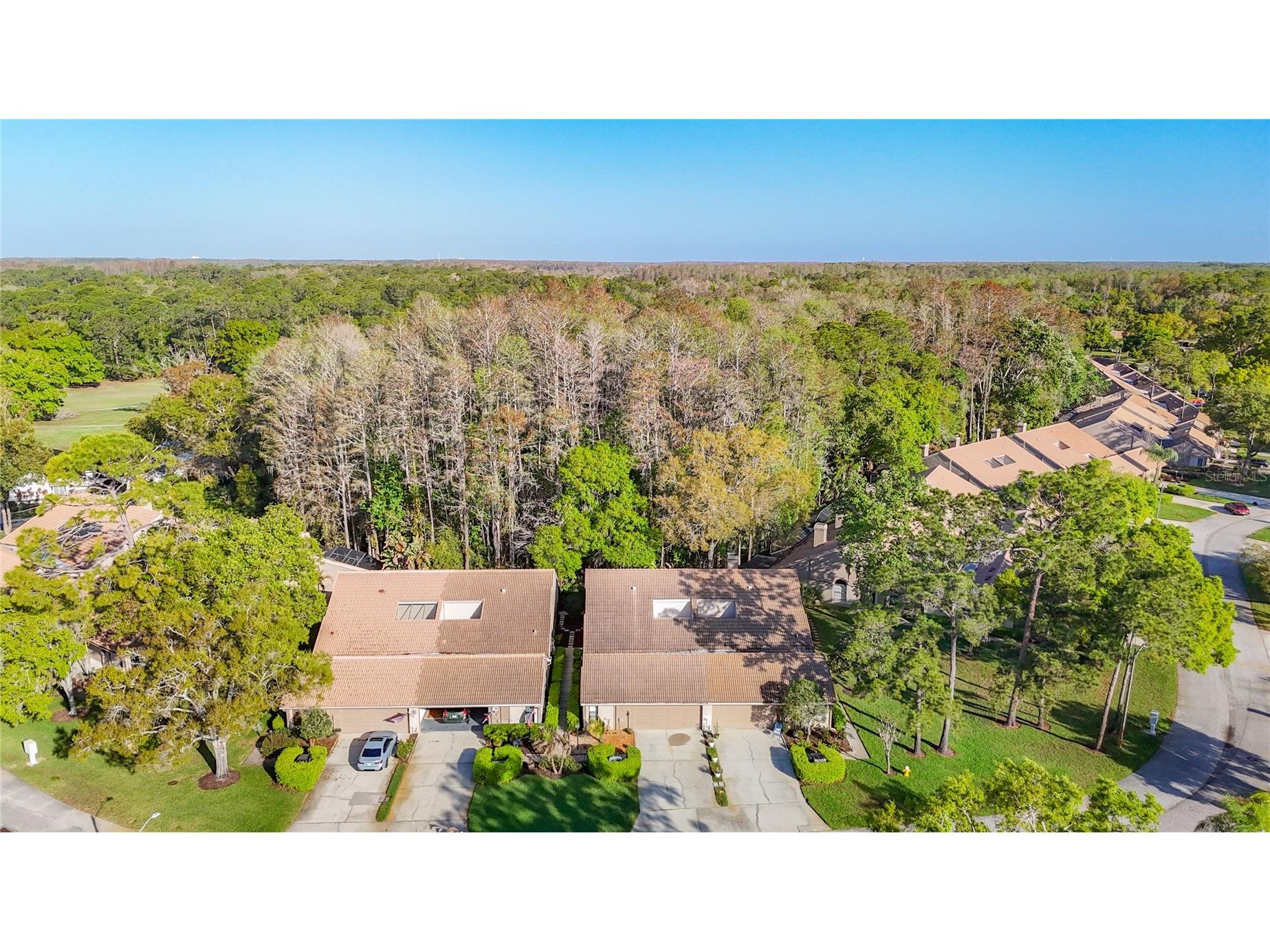 2934 Windmoor Drive S Palm Harbor FL 34685 TB8485758 image57