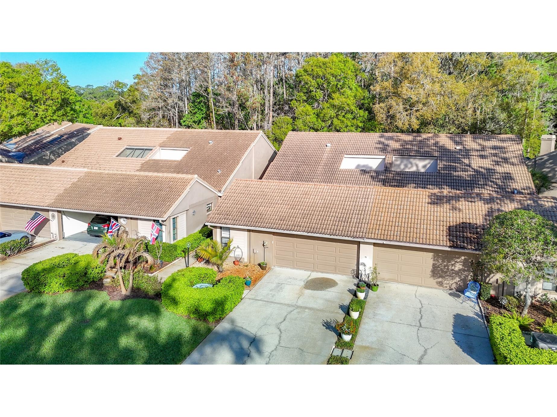 2934 Windmoor Drive S Palm Harbor FL 34685 TB8485758 image59