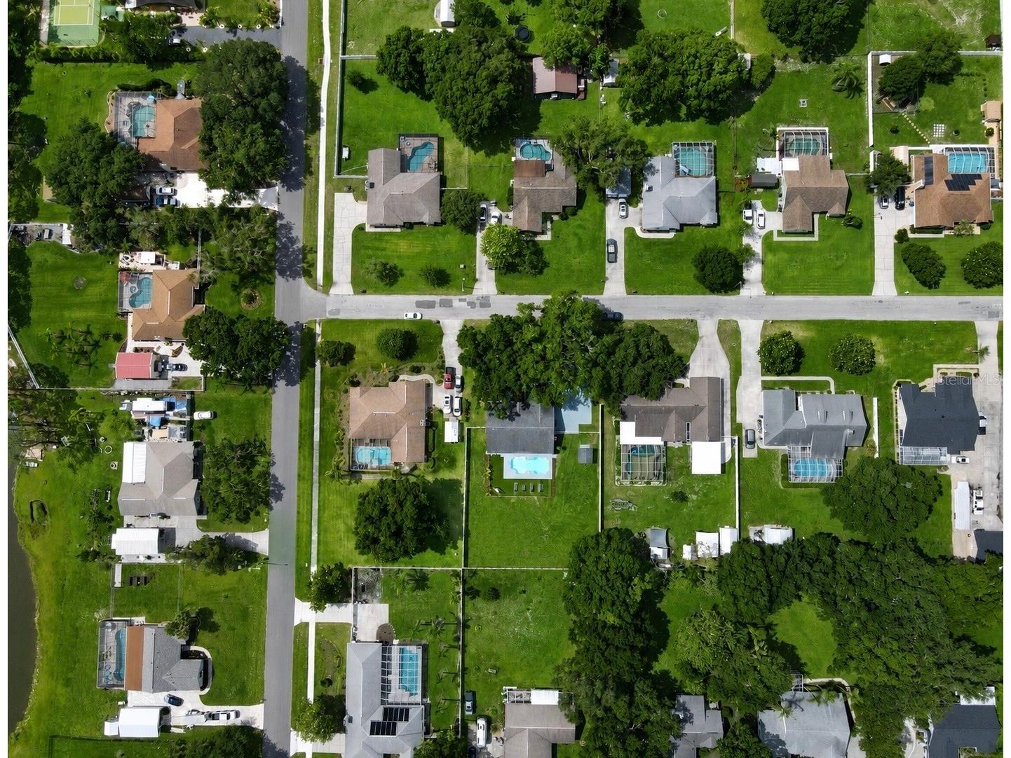 29341 Rhodin Place Wesley Chapel FL 33545 TB8510436 image27