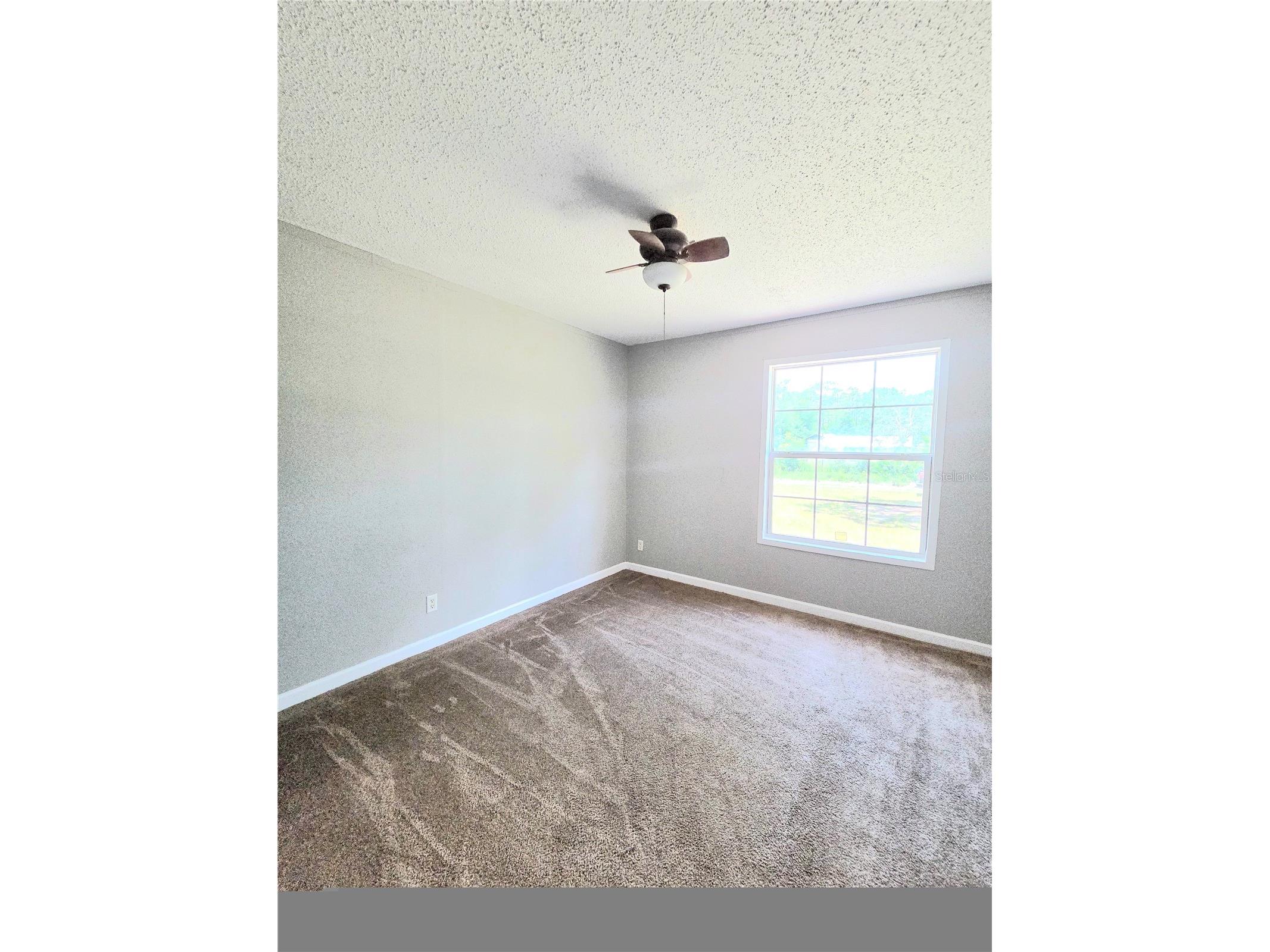 29341 Saddle Oaks Lane Brooksville FL 34602 TB8515461 image55