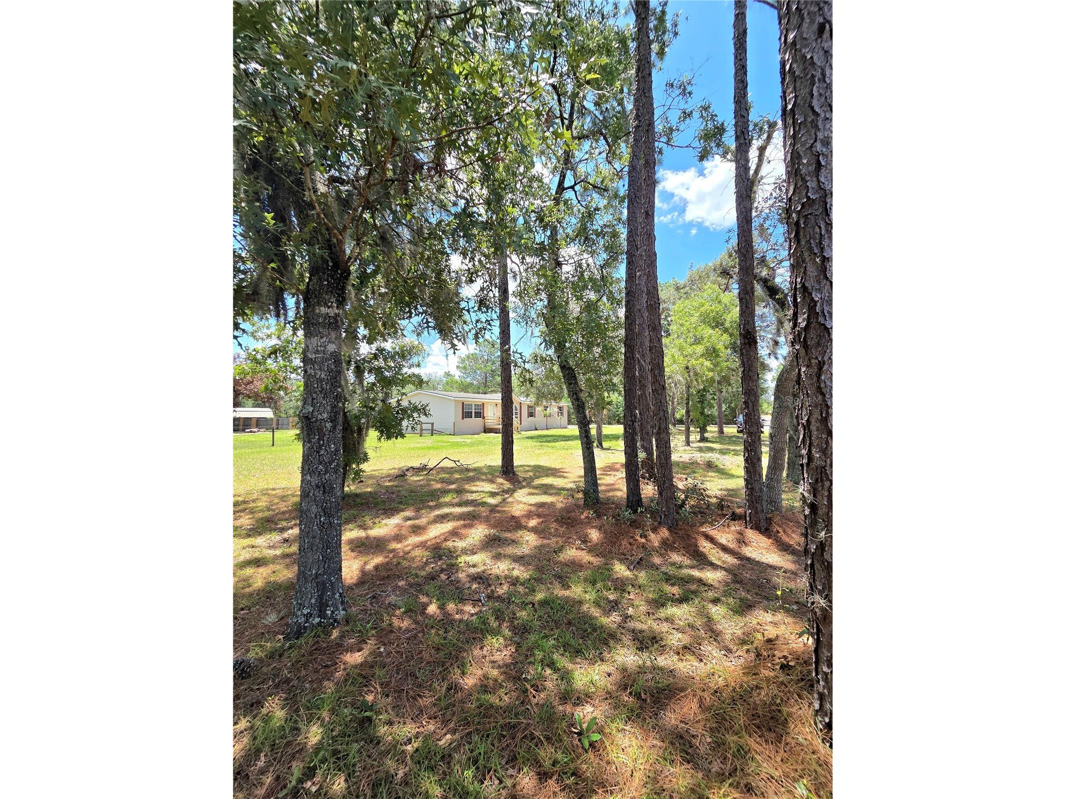 29341 Saddle Oaks Lane Brooksville FL 34602 TB8515461 image8