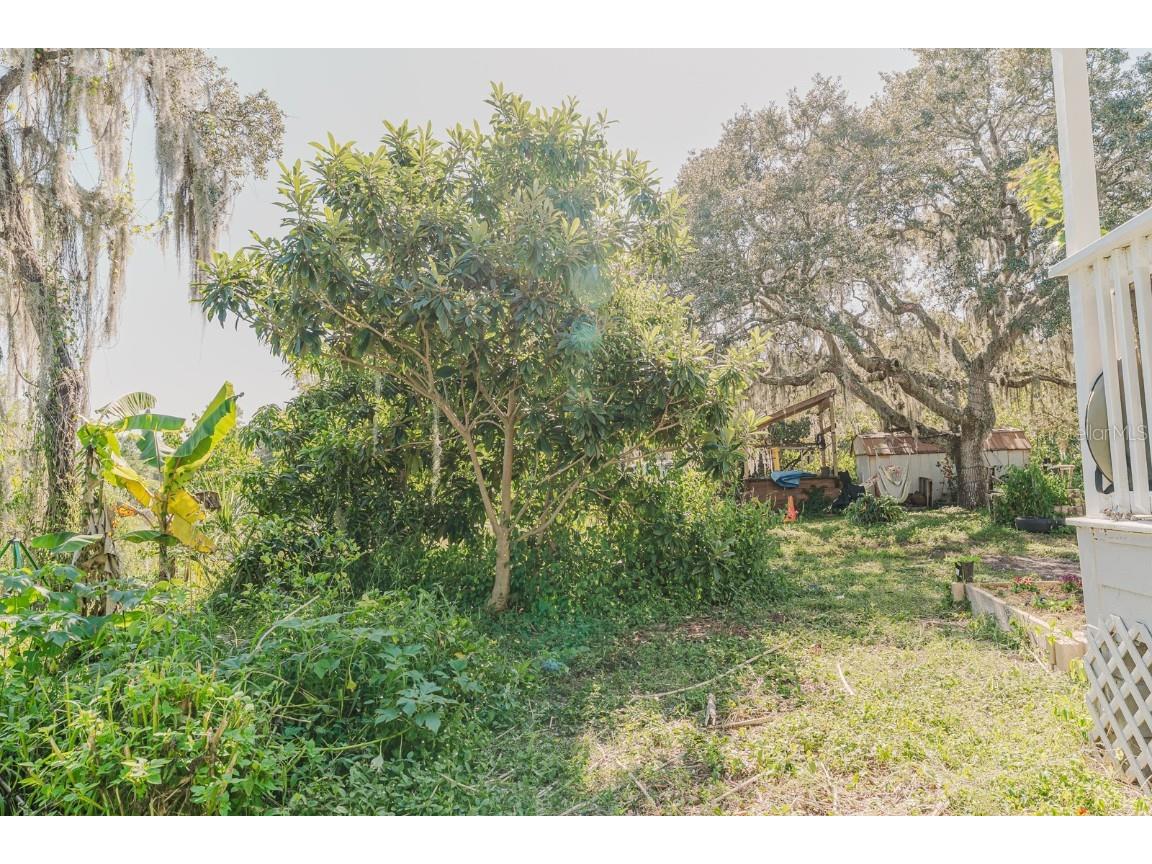 2935 Aein Road Orlando FL 32817 O6252731 image22