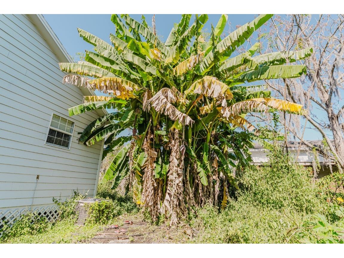 2935 Aein Road Orlando FL 32817 O6252731 image23