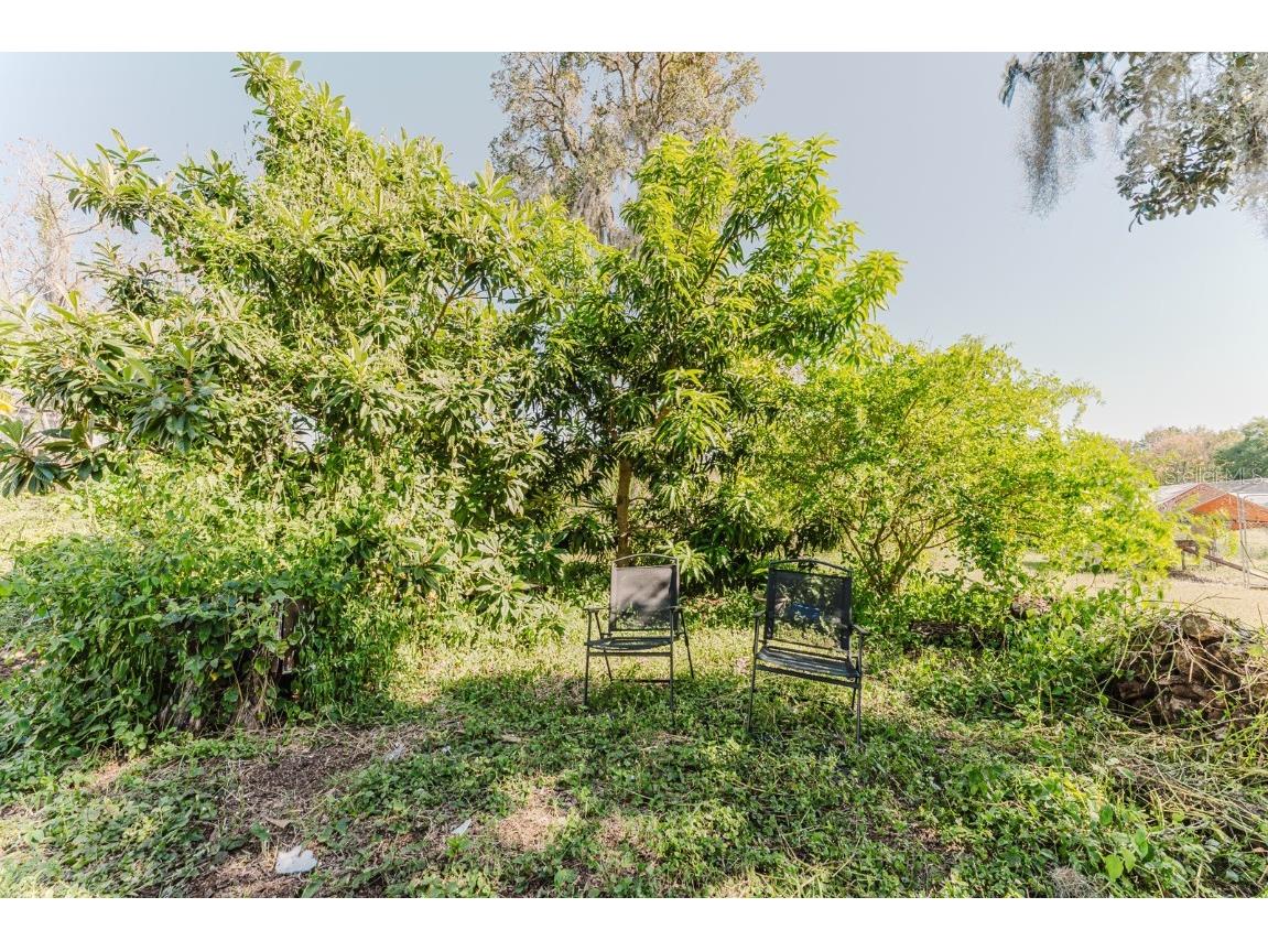 2935 Aein Road Orlando FL 32817 O6252731 image24