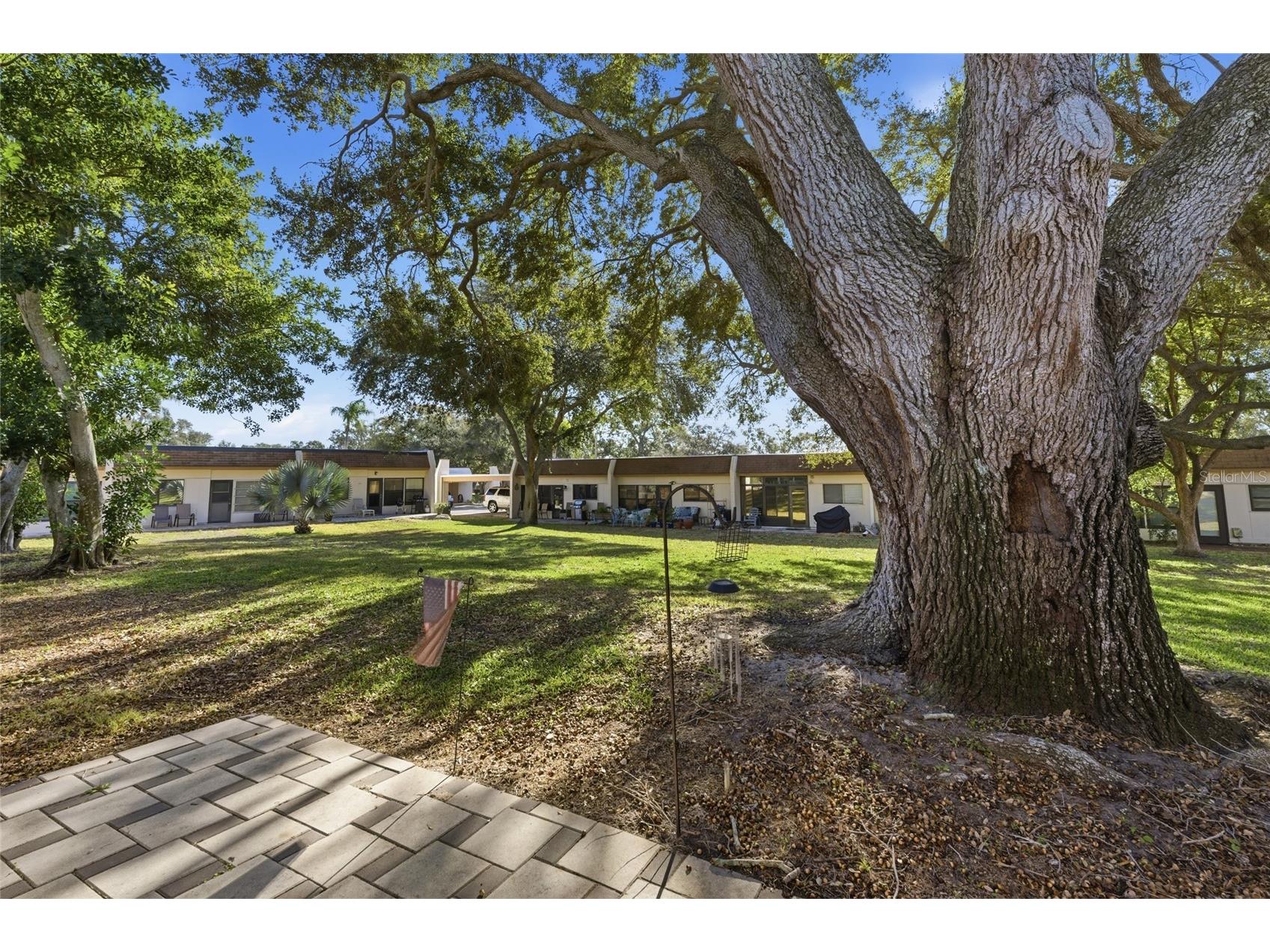 2935 Feather Drive #65-D Clearwater FL 33759 TB8477364 image25