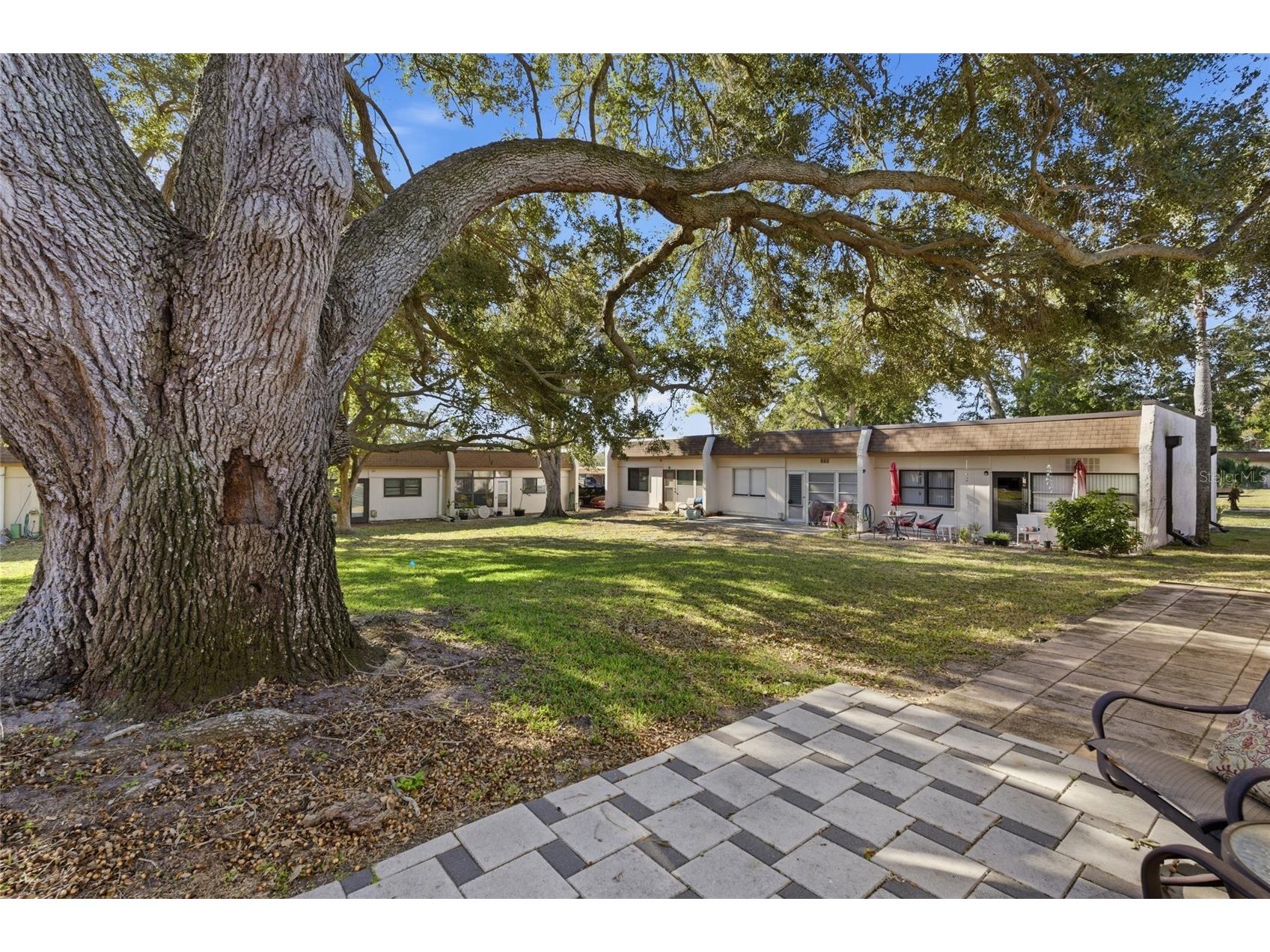 2935 Feather Drive #65-D Clearwater FL 33759 TB8477364 image26