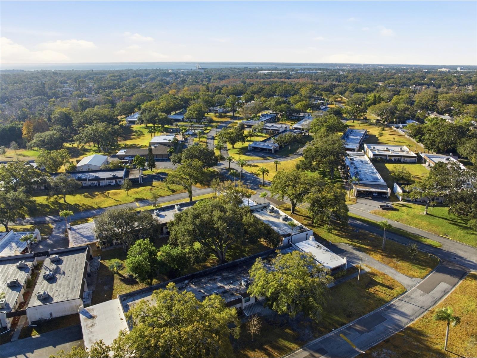 2935 Feather Drive #65-D Clearwater FL 33759 TB8477364 image32