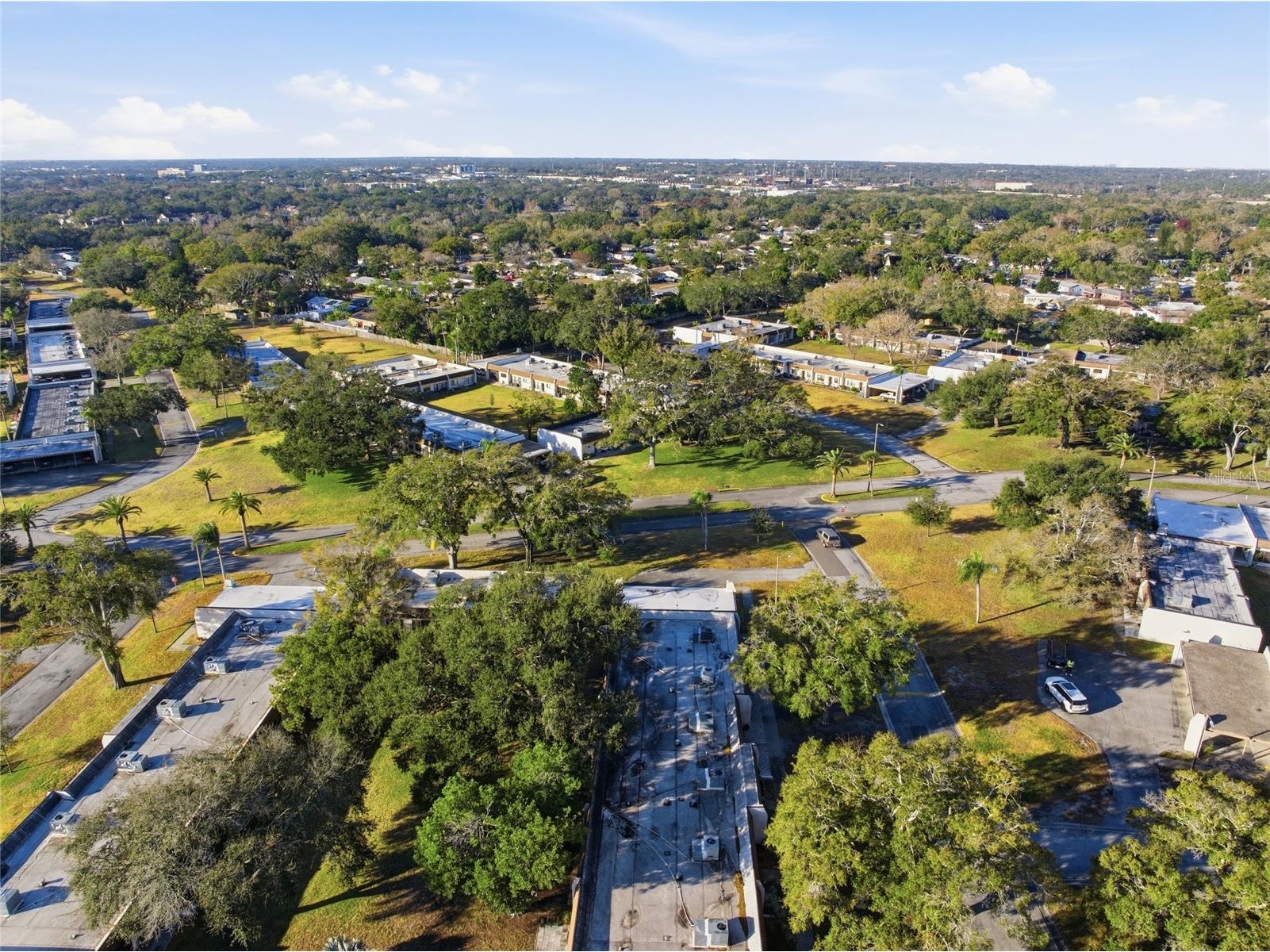 2935 Feather Drive #65-D Clearwater FL 33759 TB8477364 image33
