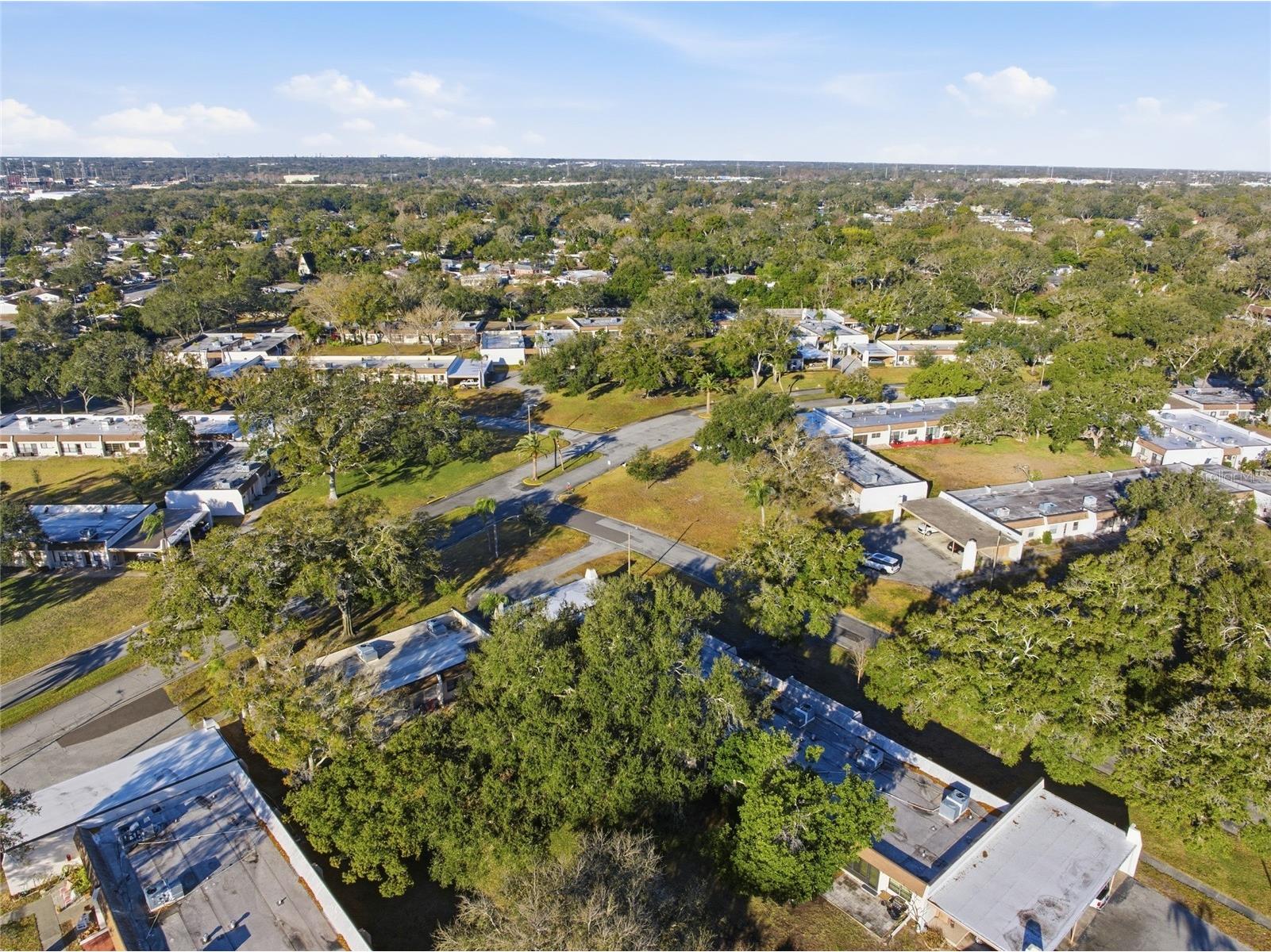 2935 Feather Drive #65-D Clearwater FL 33759 TB8477364 image34