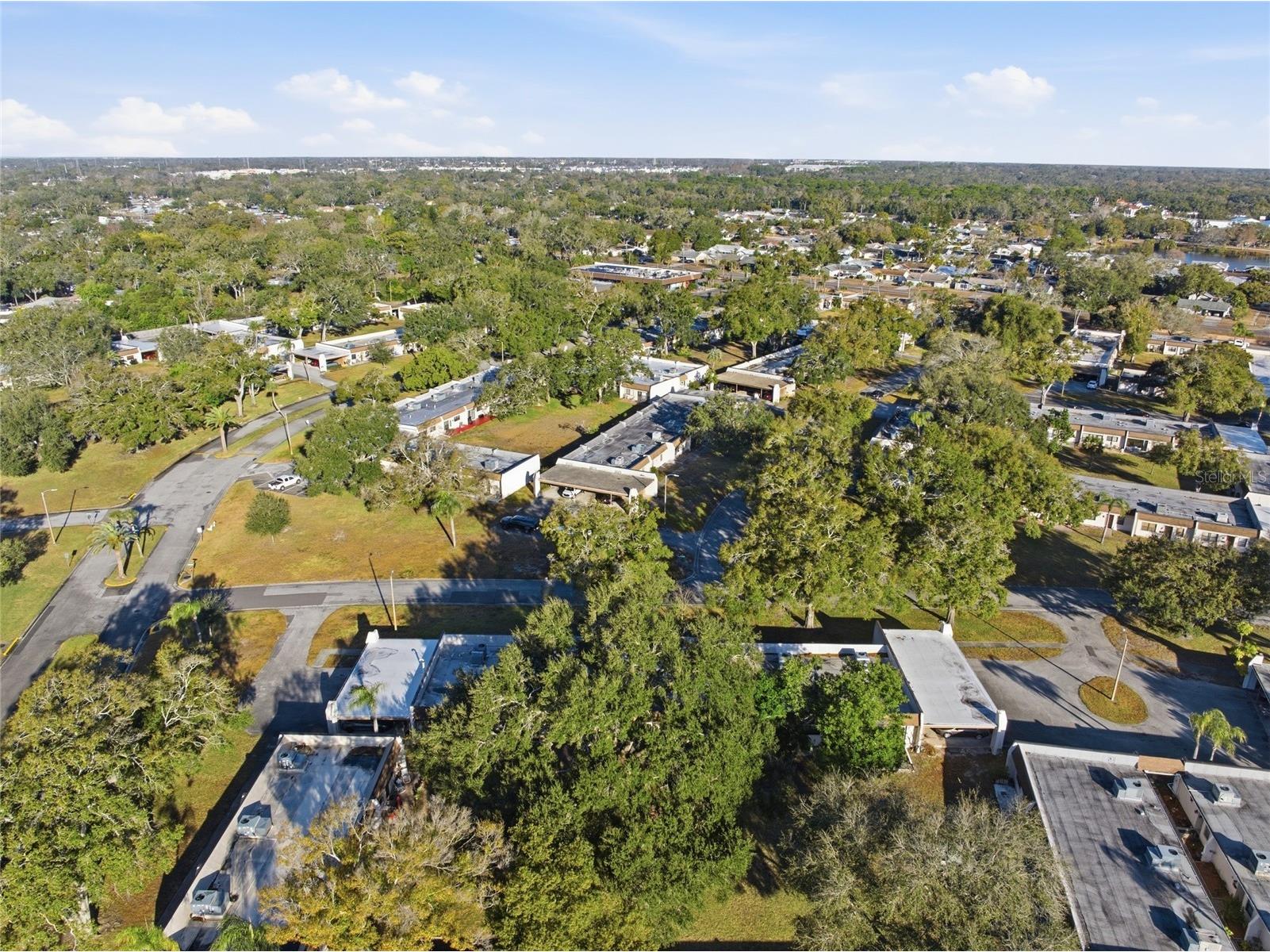 2935 Feather Drive #65-D Clearwater FL 33759 TB8477364 image35