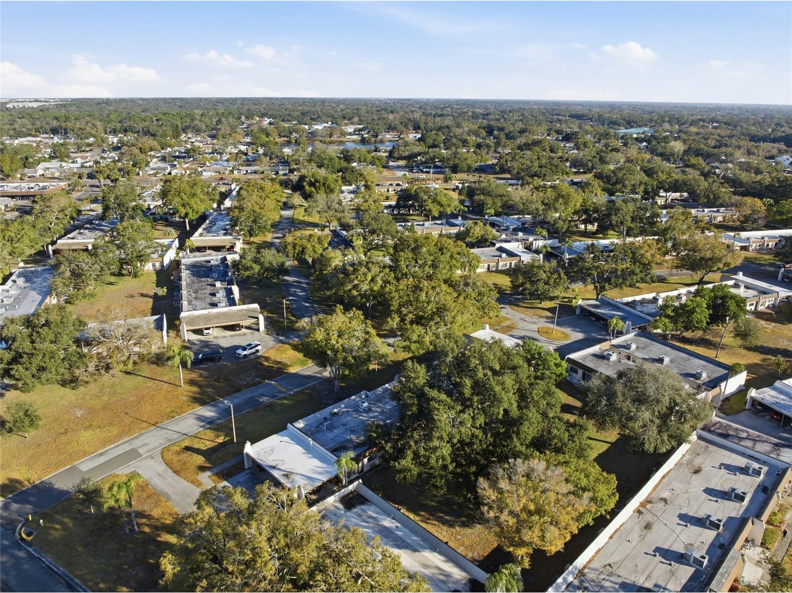 2935 Feather Drive #65-D Clearwater FL 33759 TB8477364 image36