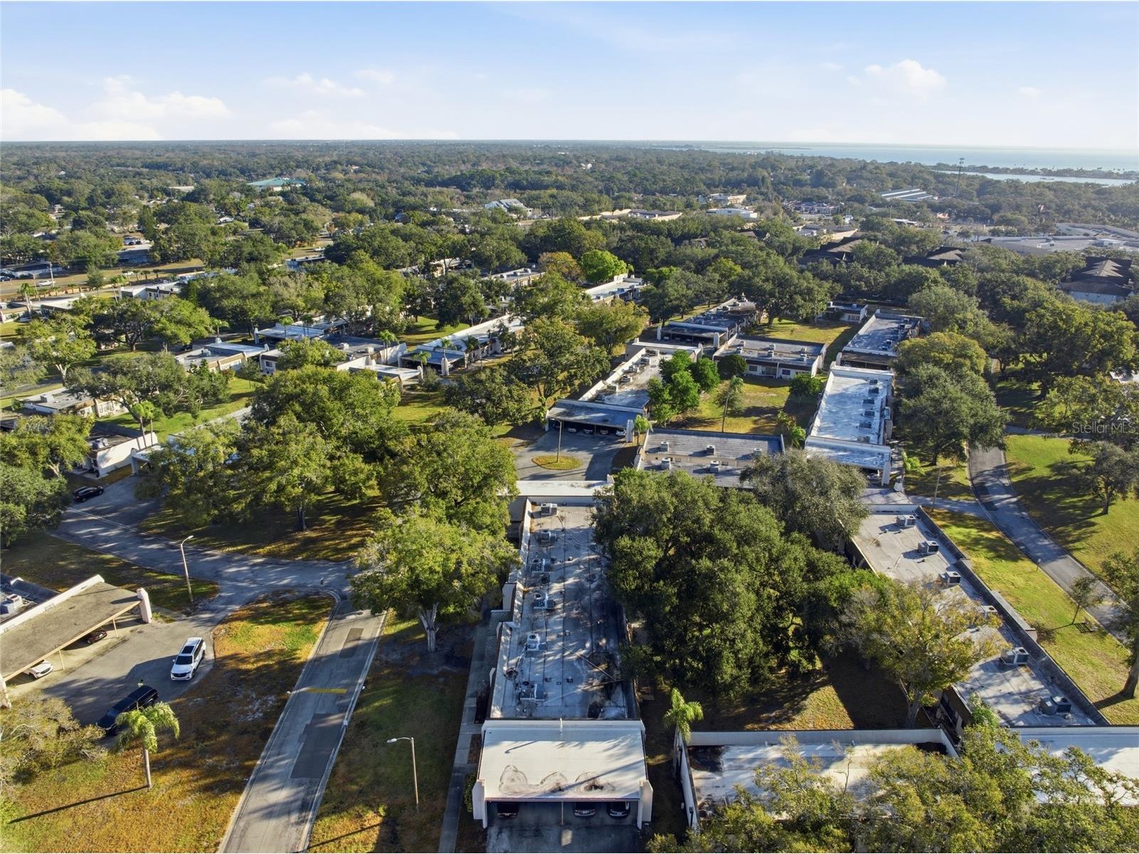 2935 Feather Drive #65-D Clearwater FL 33759 TB8477364 image37