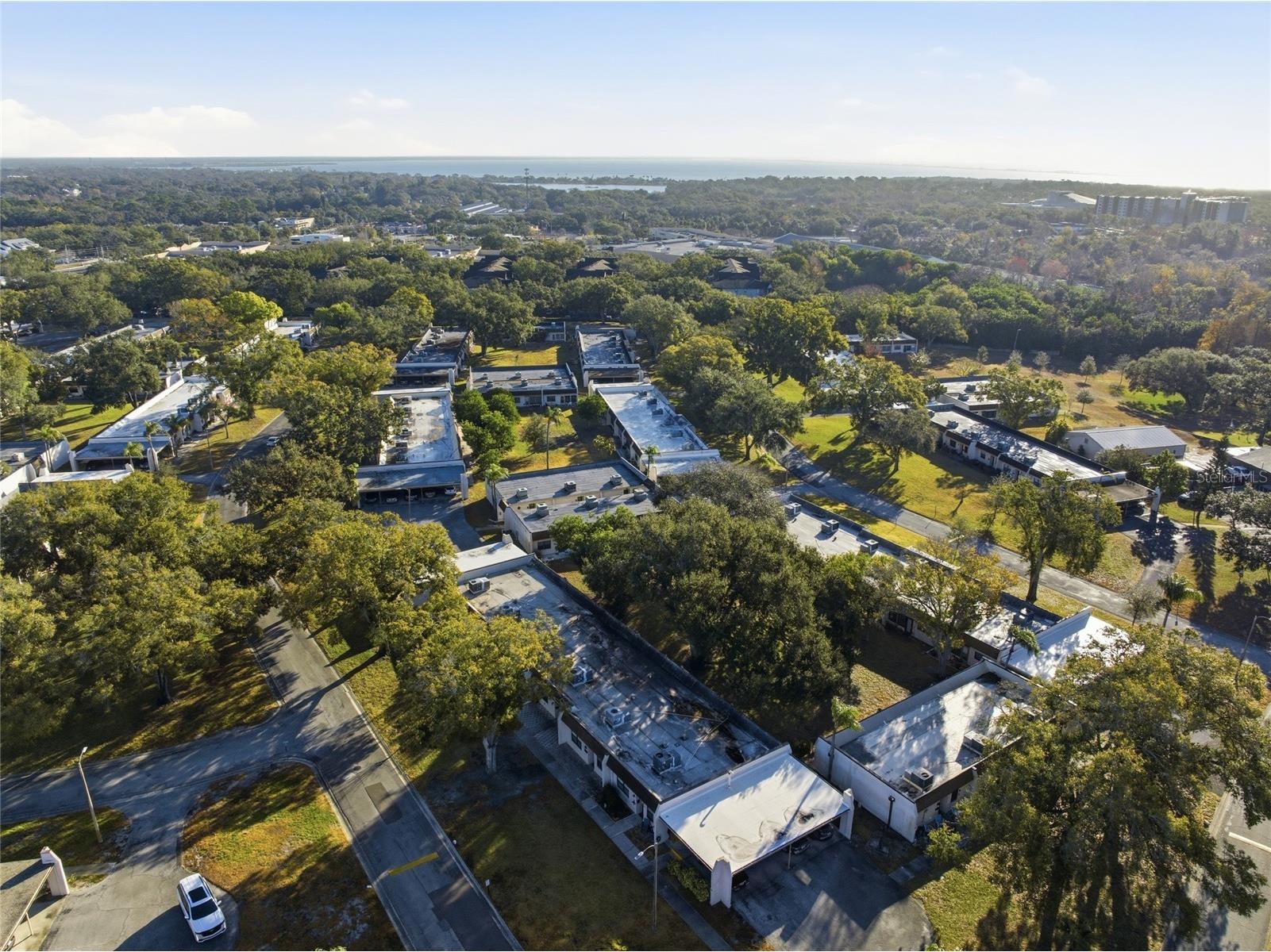 2935 Feather Drive #65-D Clearwater FL 33759 TB8477364 image38
