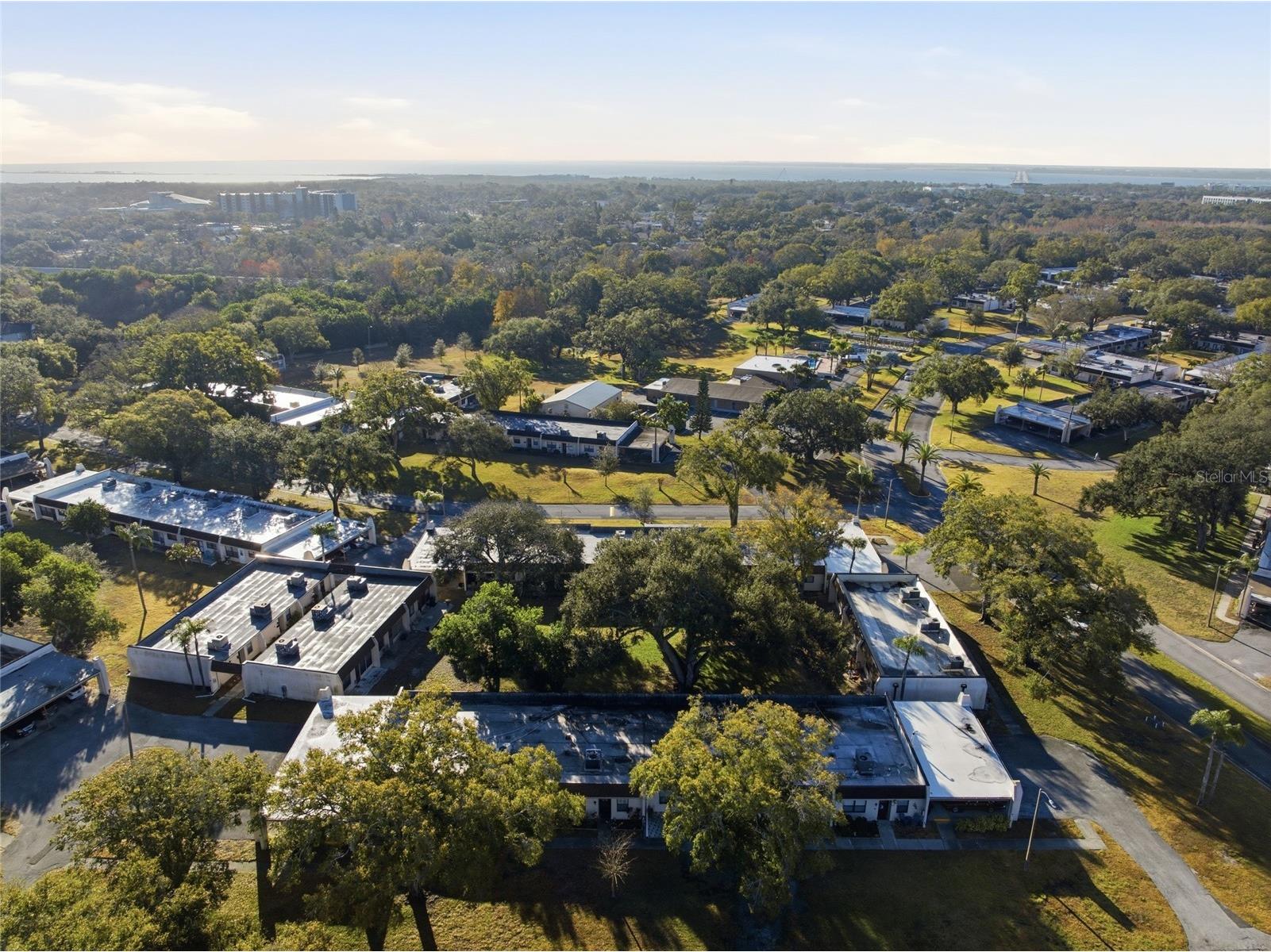 2935 Feather Drive #65-D Clearwater FL 33759 TB8477364 image39