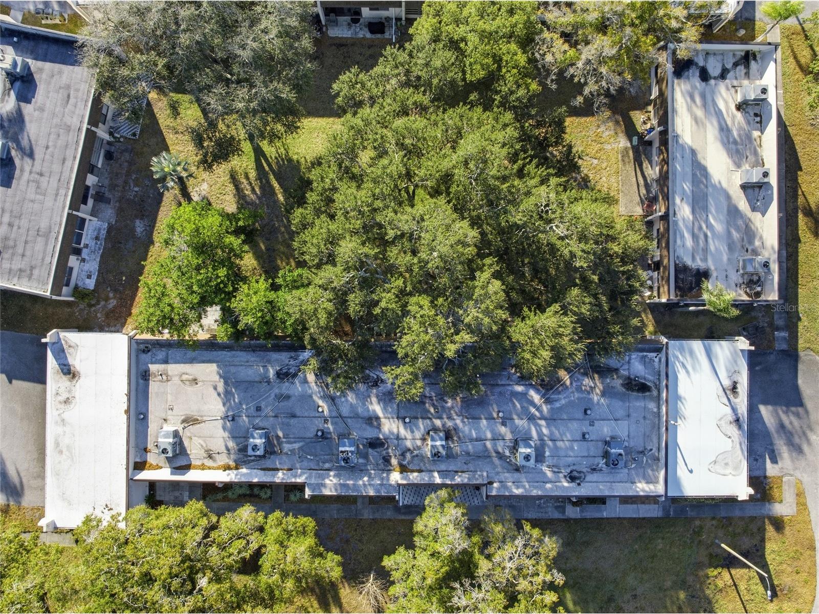 2935 Feather Drive #65-D Clearwater FL 33759 TB8477364 image40