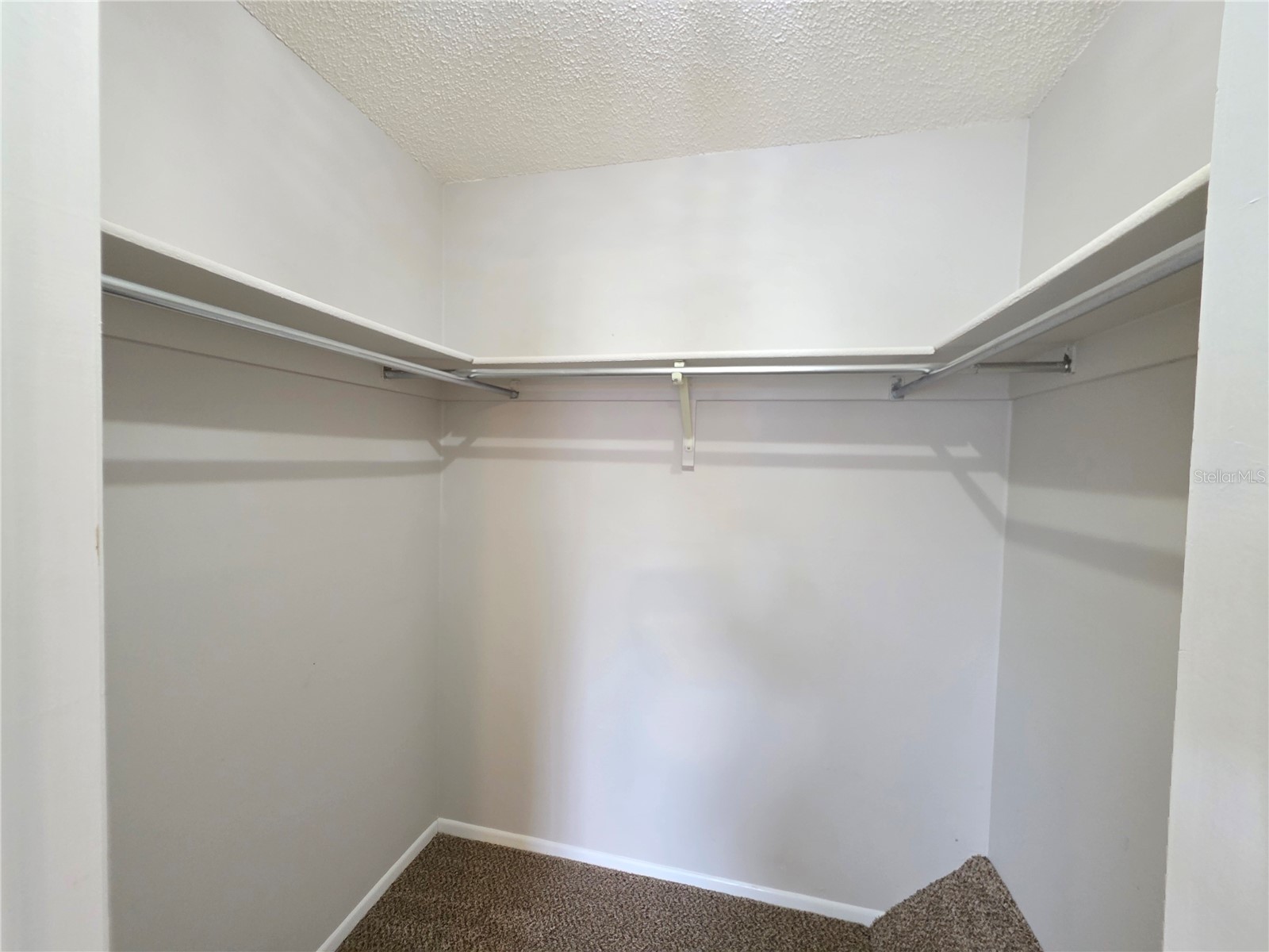 2935 Lichen Lane #C Clearwater FL 33760 TB8517117 image32